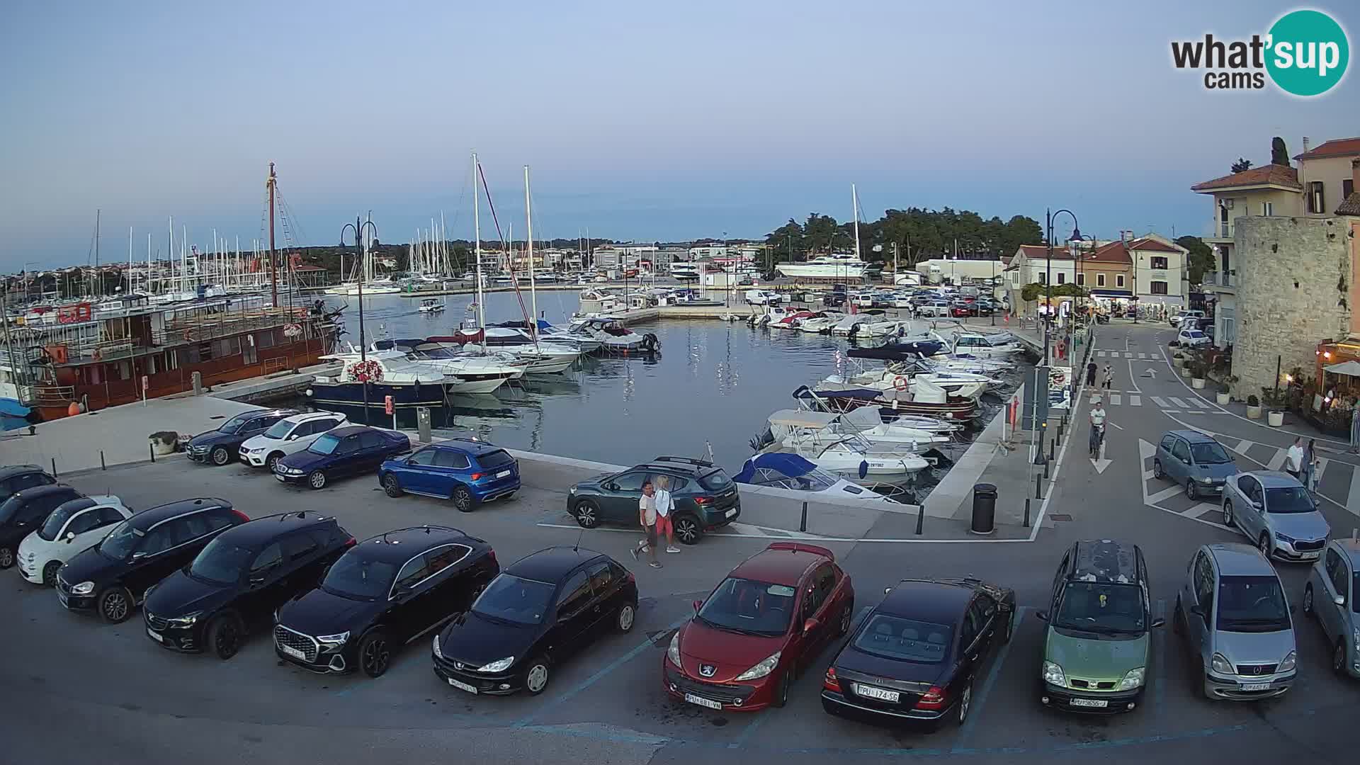 Novigrad | Porporela marina