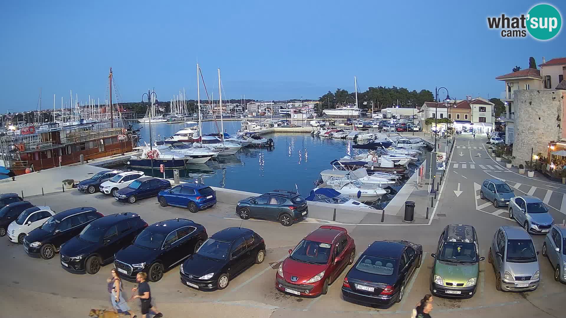 Novigrad | Porporela marina