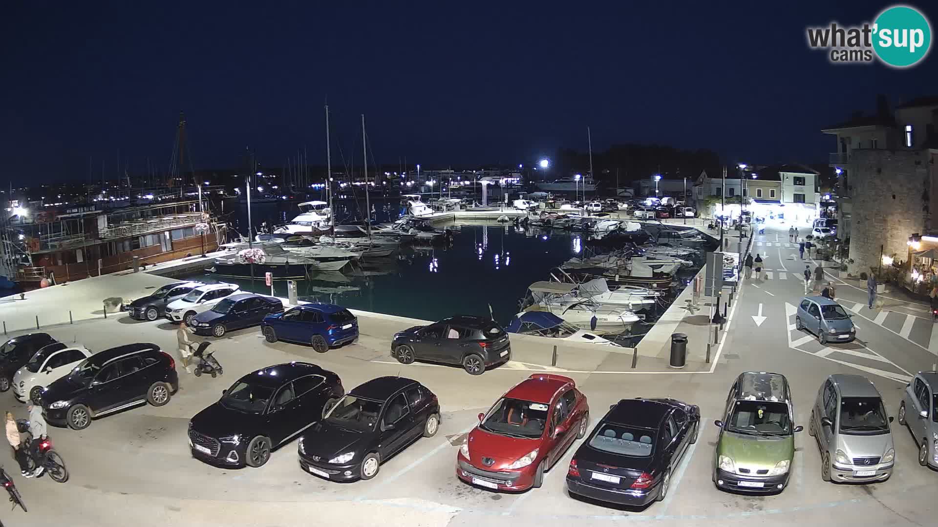 Novigrad | Porporela marina
