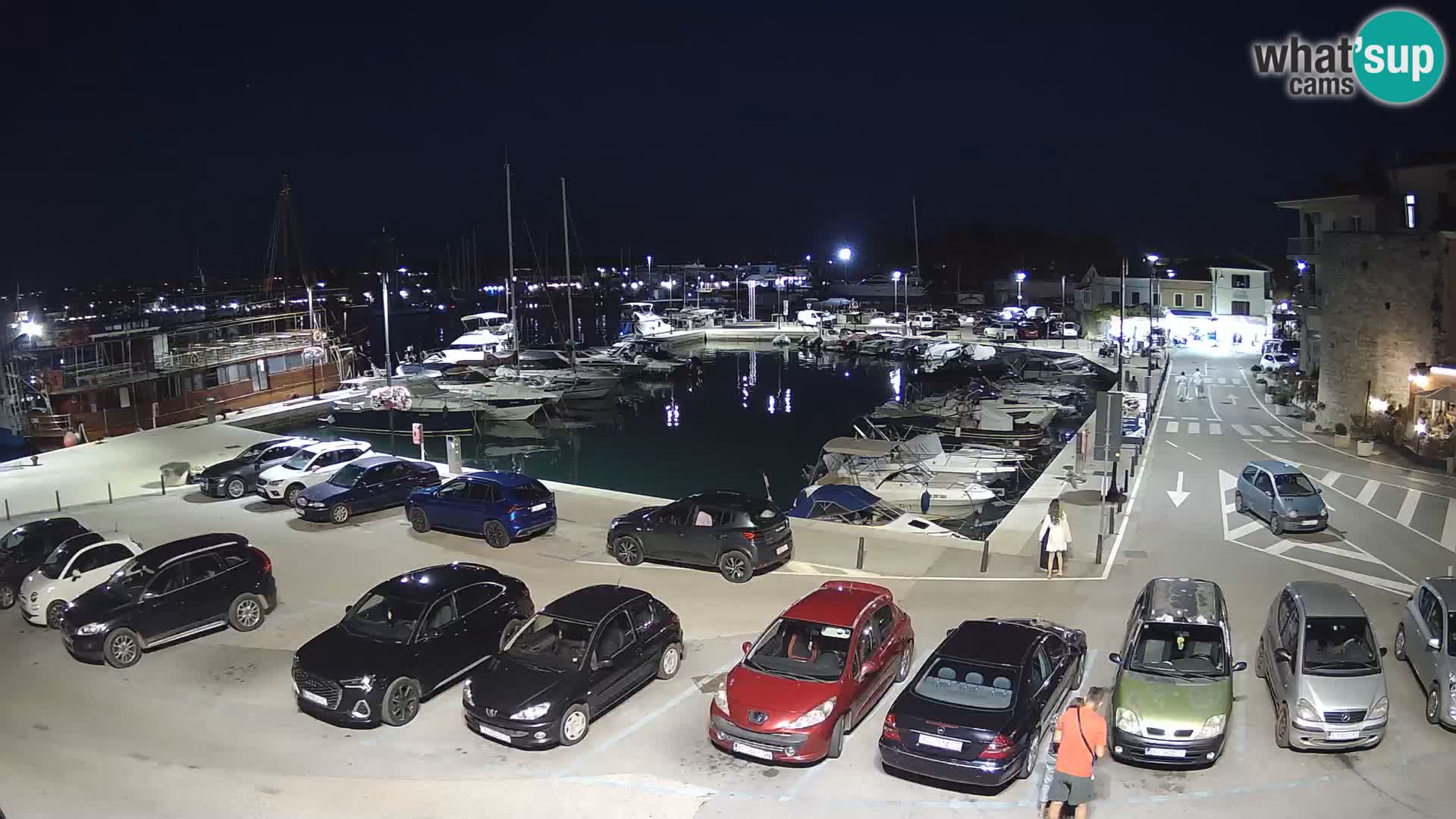 Novigrad | Porporela marina