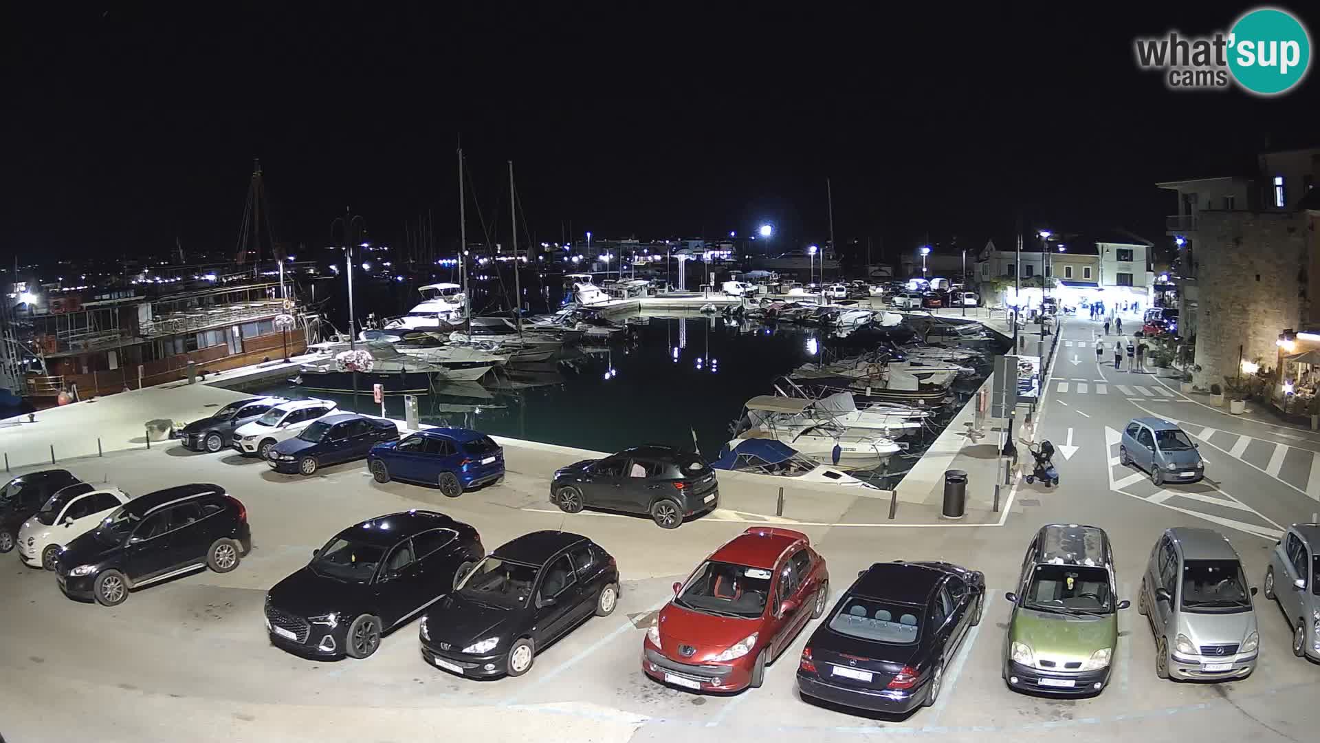 Novigrad | Porporela marina