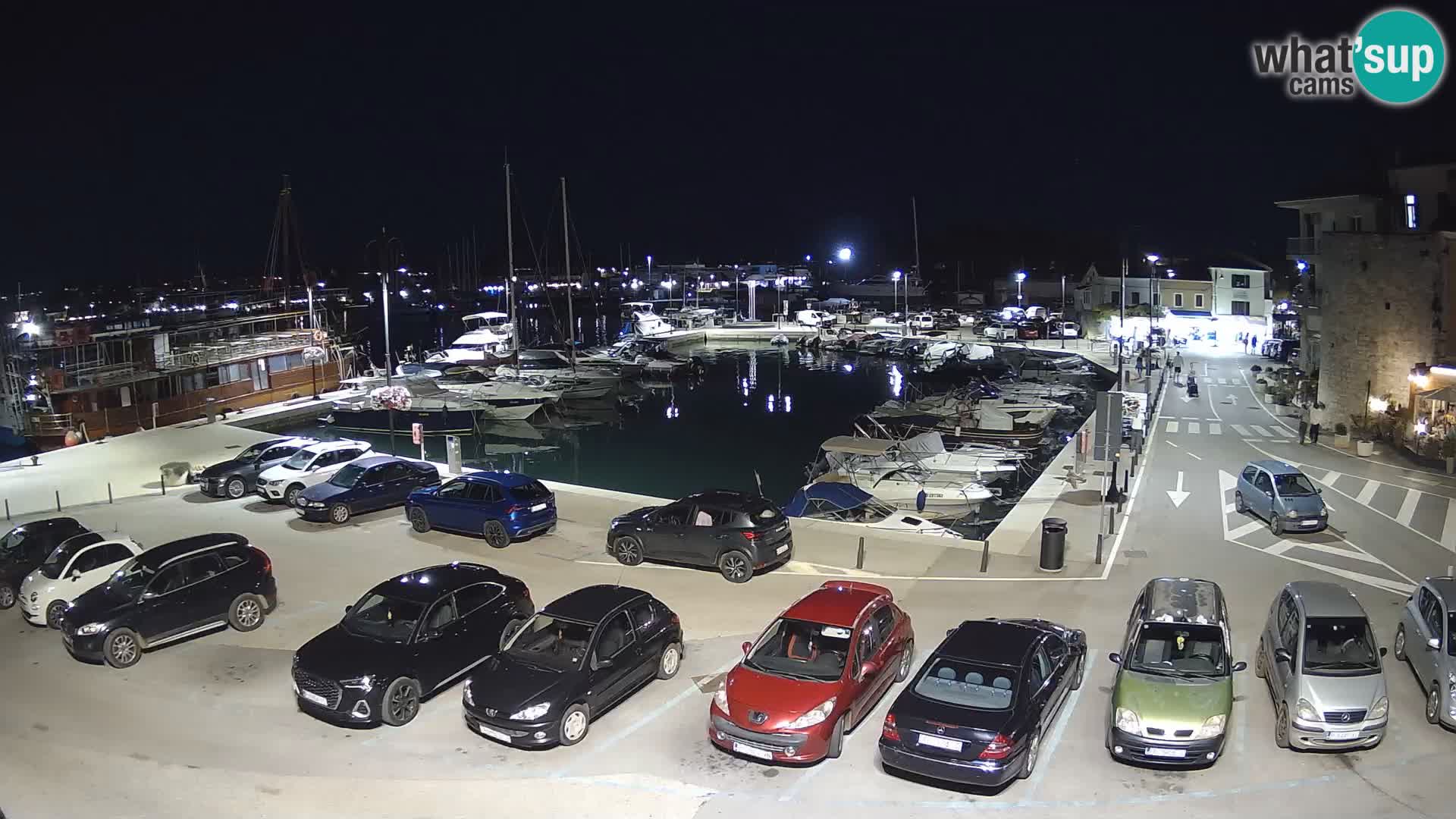 Novigrad | Porporela marina