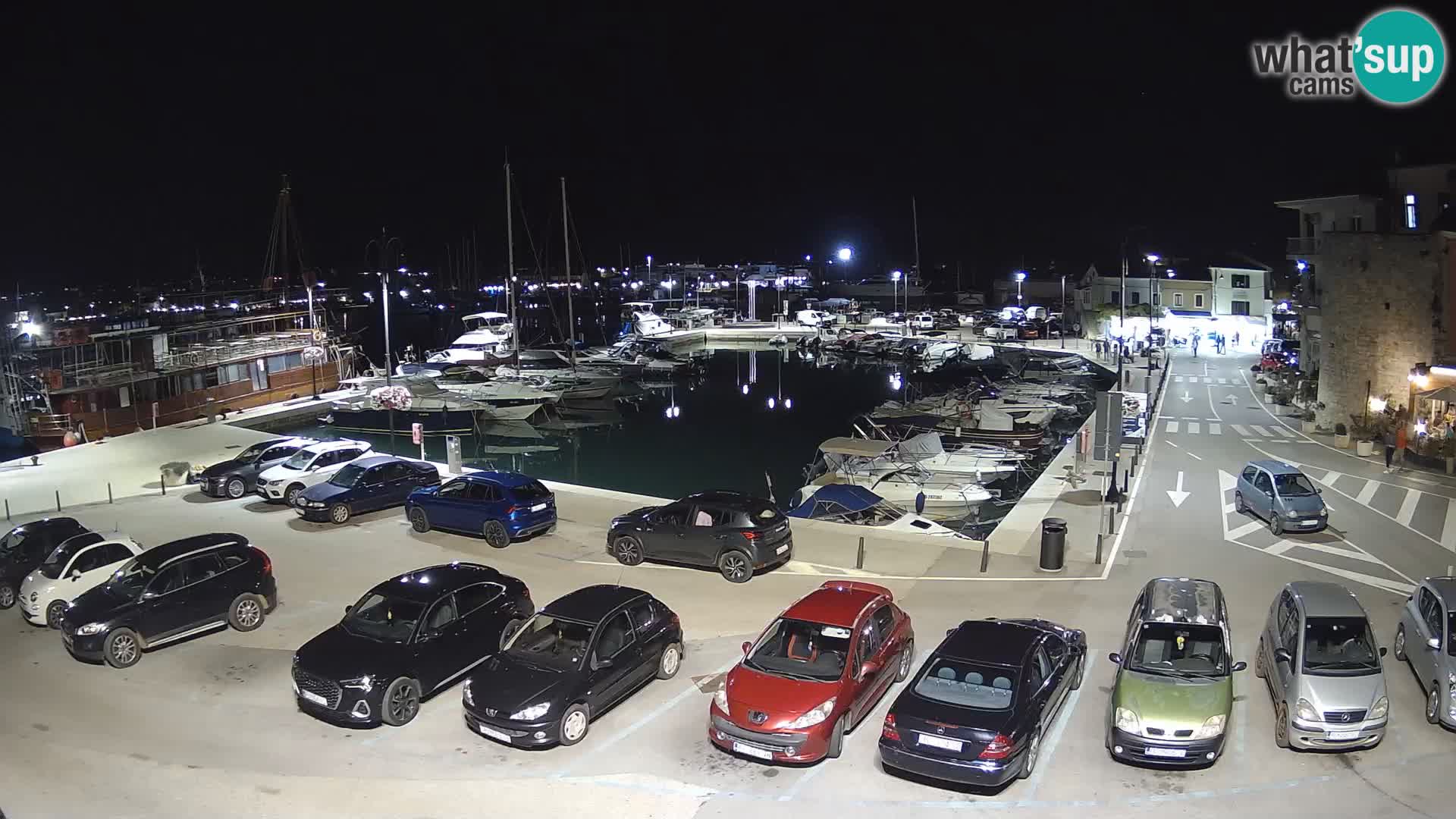 Novigrad | Porporela marina