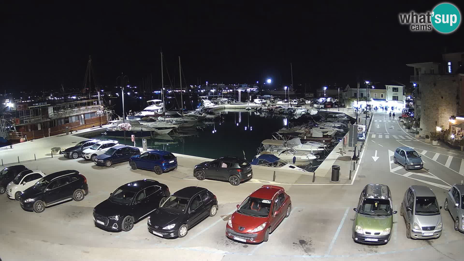 Novigrad | Porporela marina