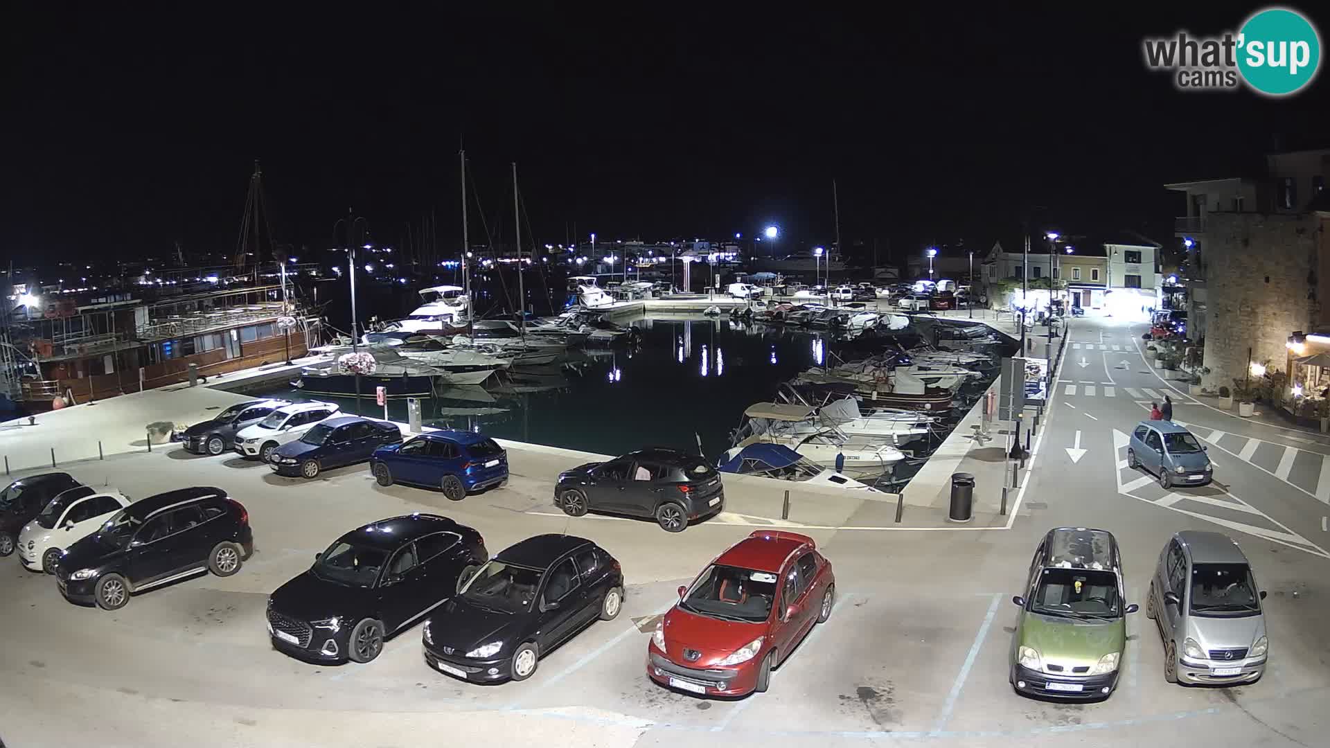 Novigrad | Porporela marina