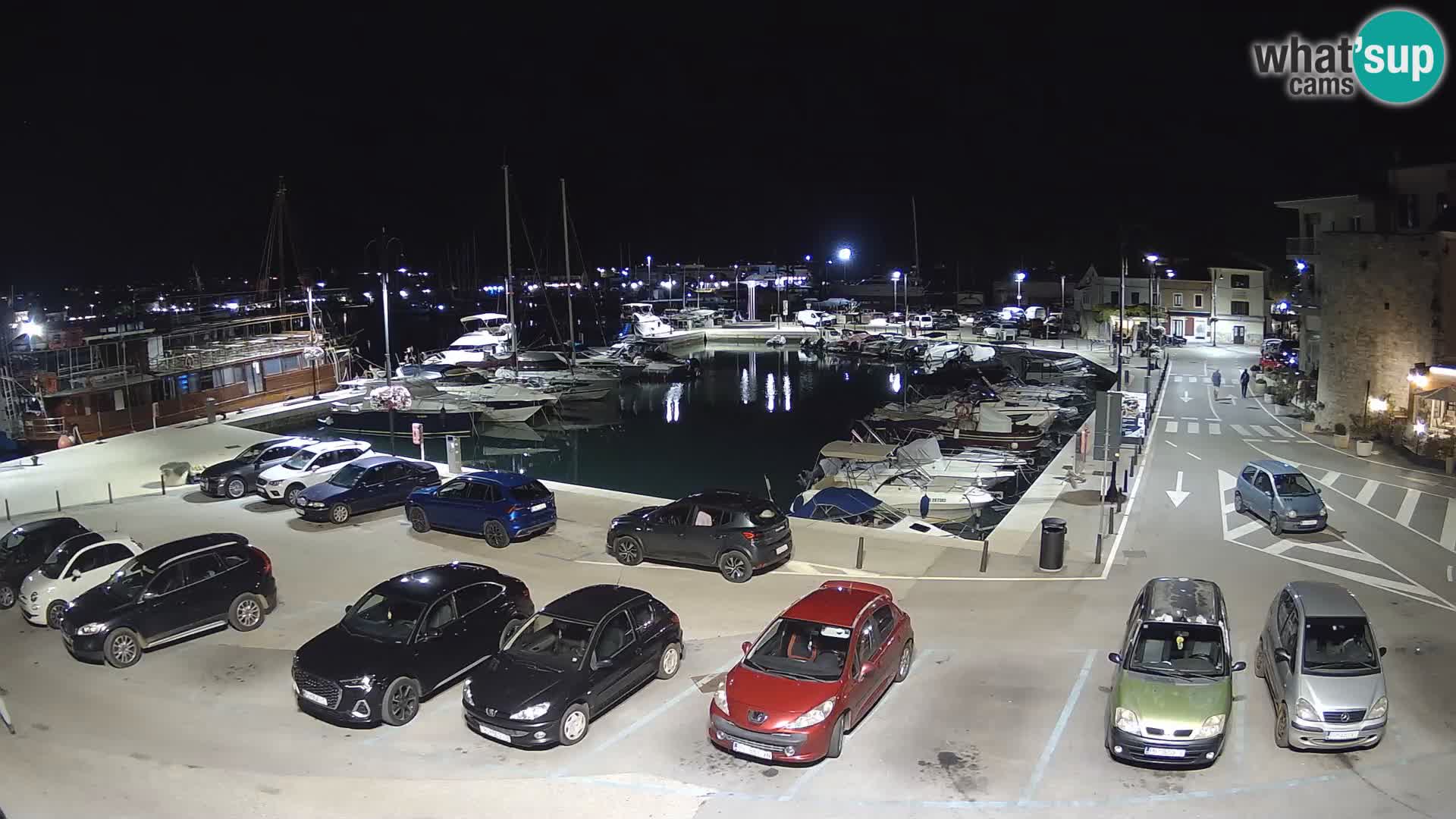 Novigrad | Porporela marina
