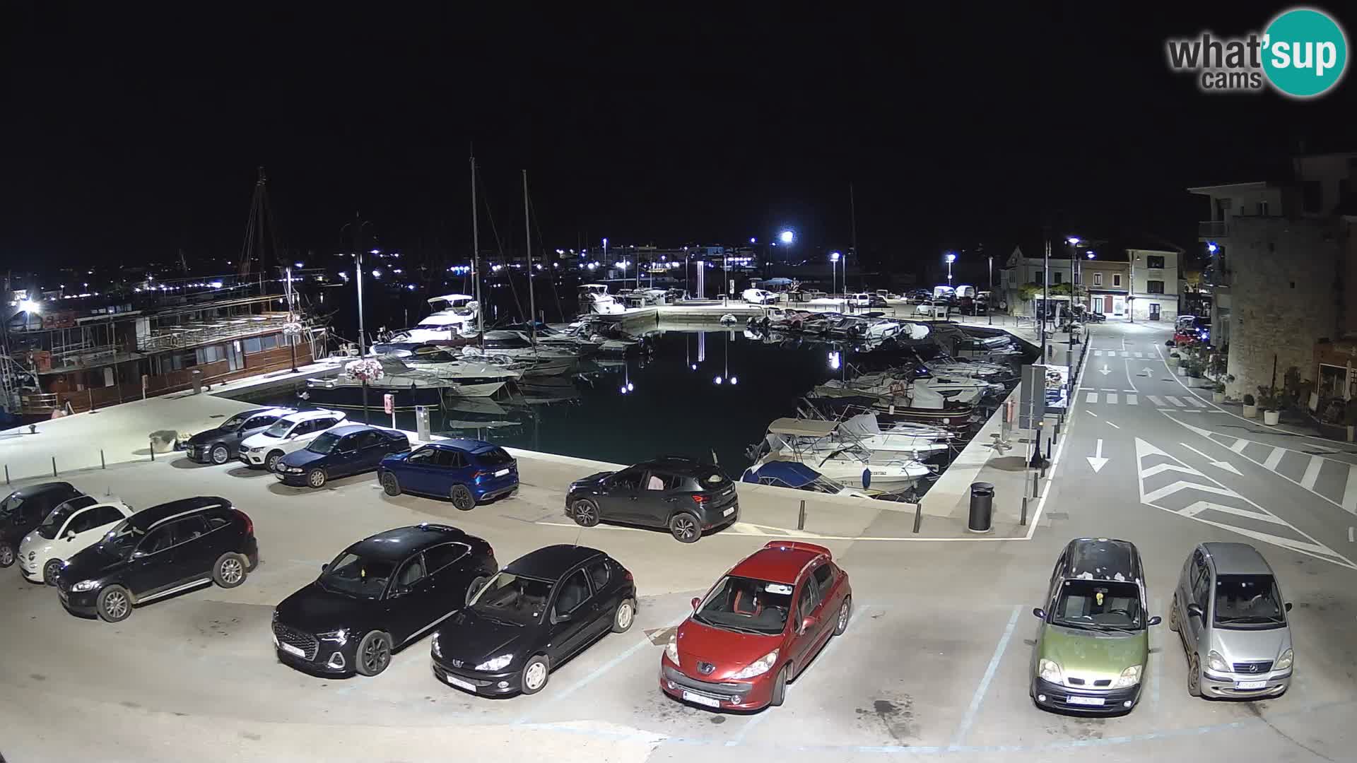 Novigrad | Porporela marina