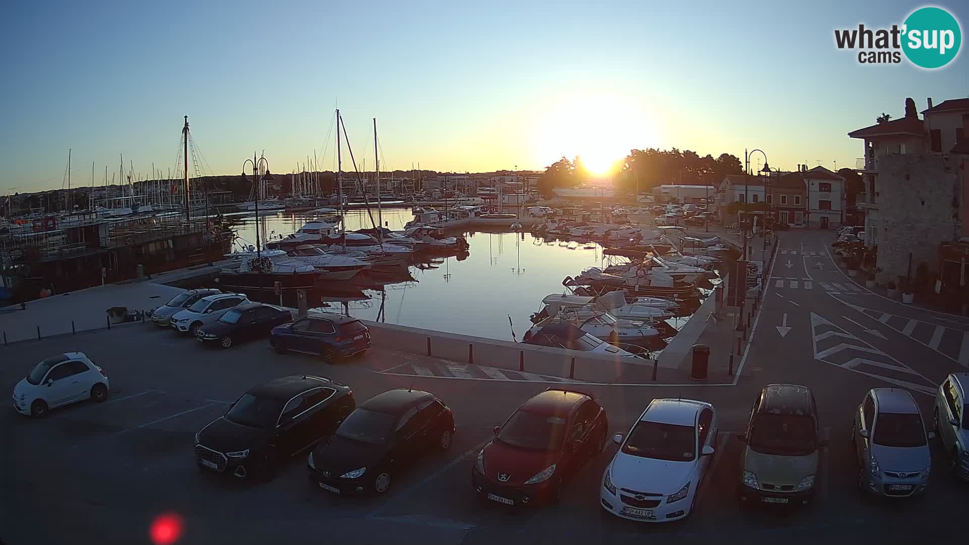 Novigrad | Porporela marina