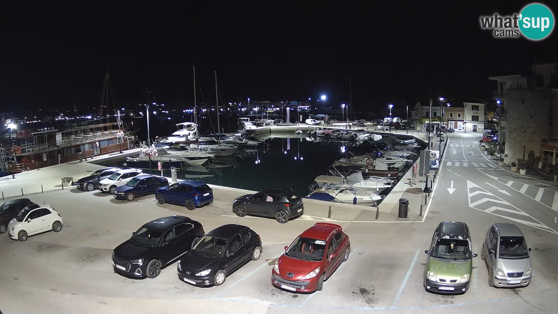 Novigrad | Porporela marina