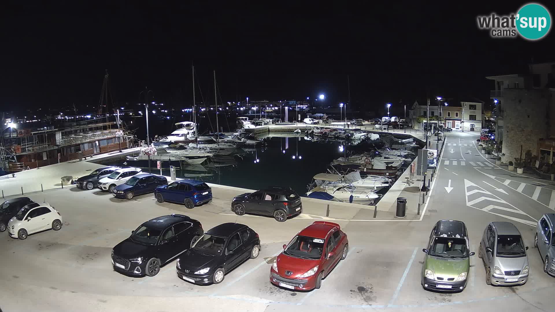 Novigrad | Porporela marina