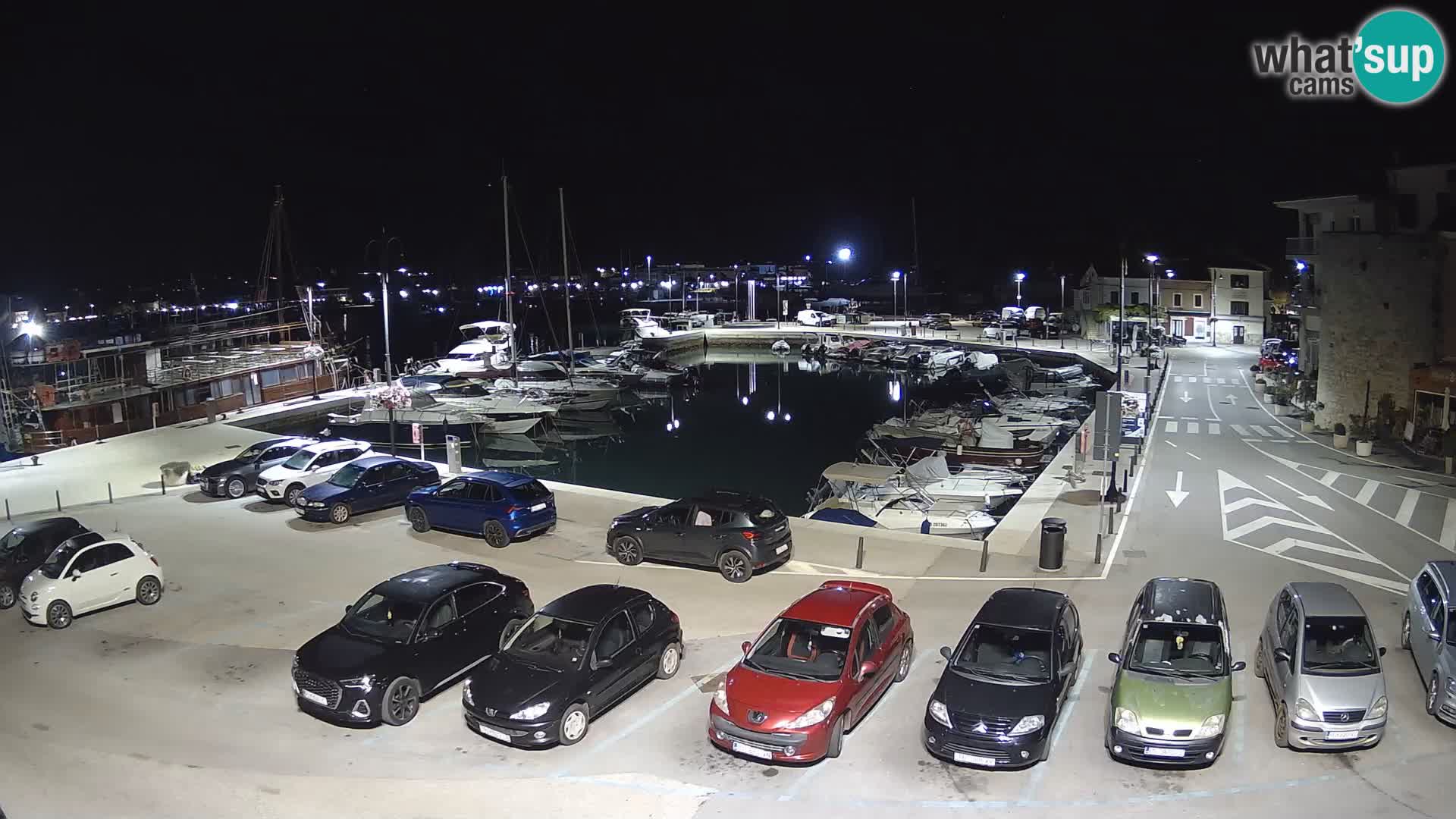 Novigrad | Porporela marina
