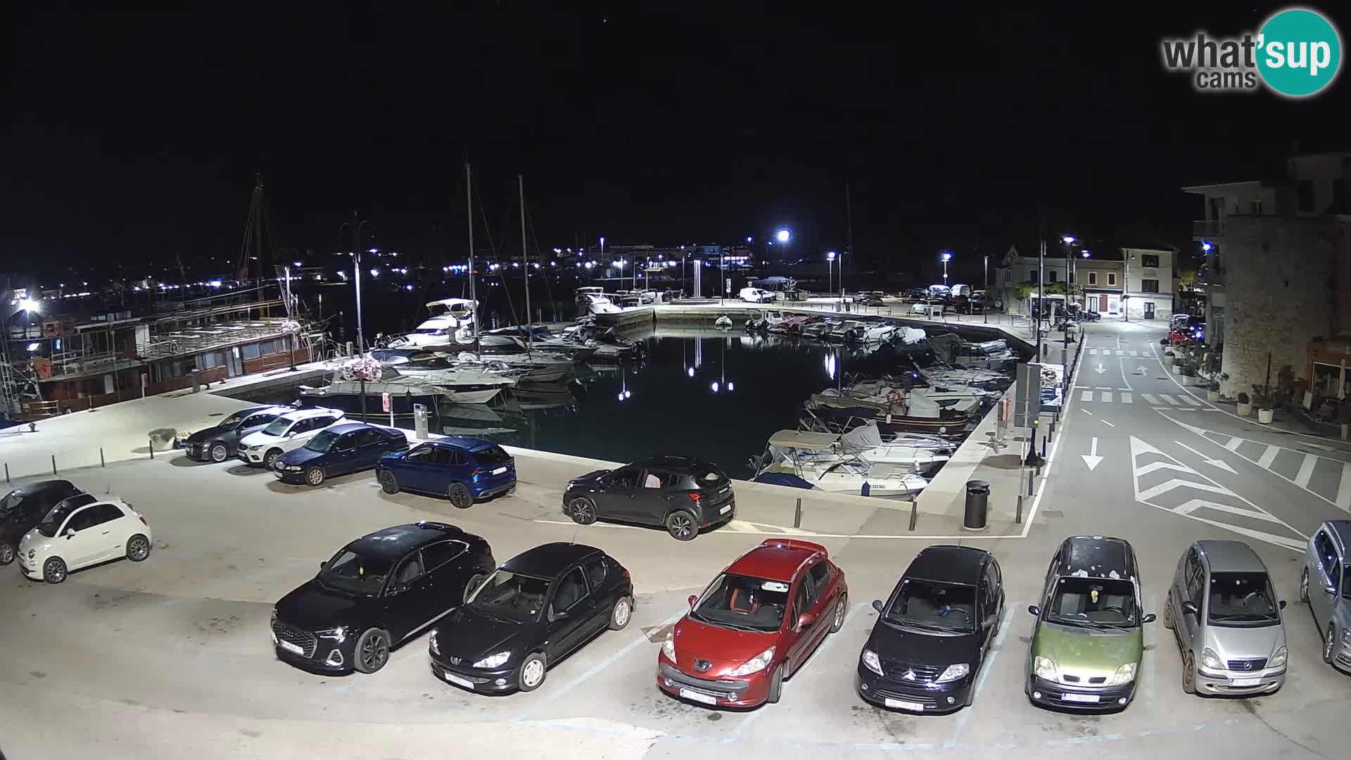 Novigrad | Porporela marina