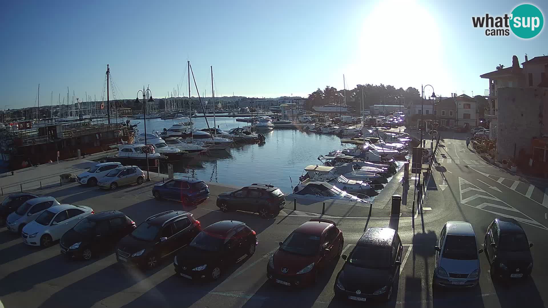 Novigrad | Porporela marina