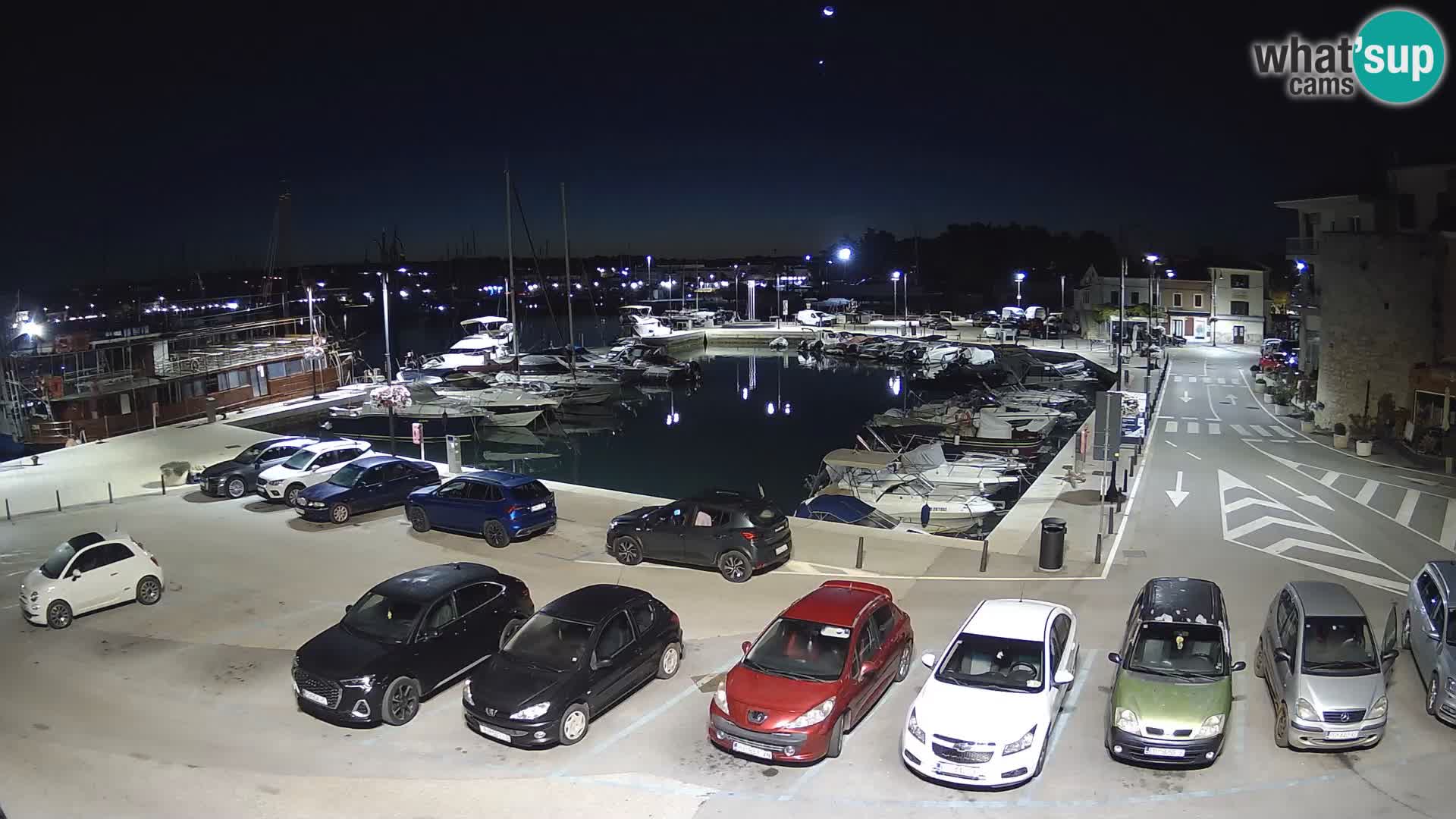 Novigrad | Porporela marina