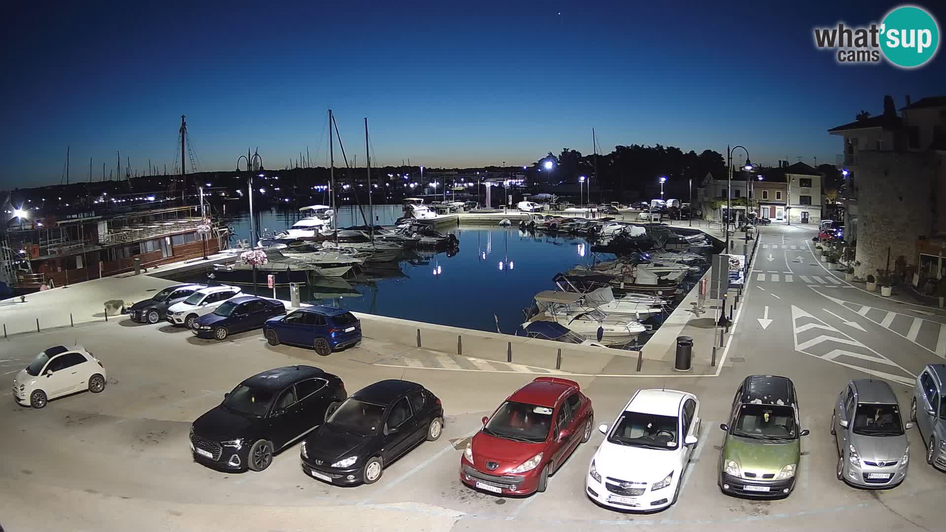 Novigrad | Porporela marina