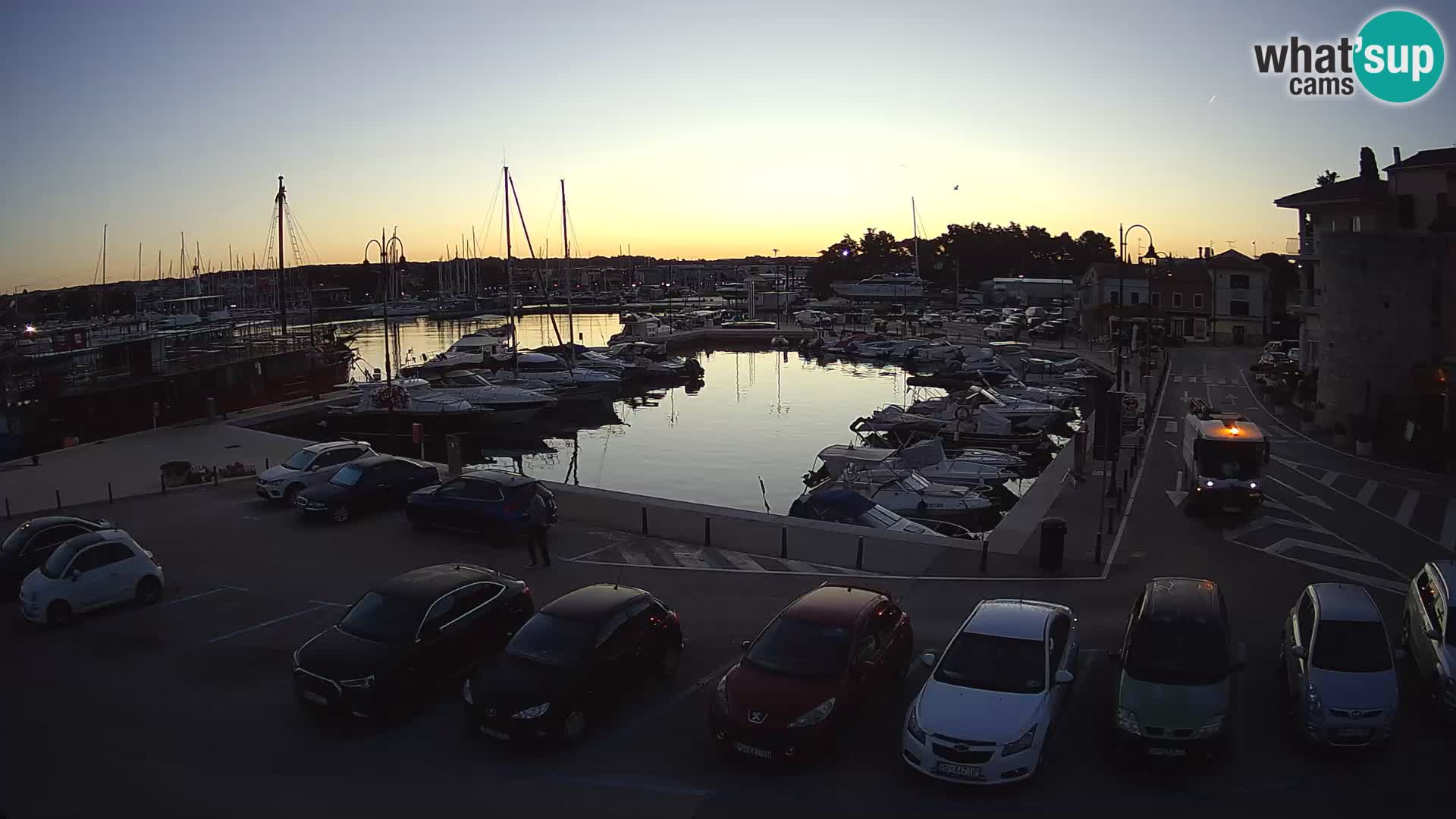 Novigrad | Porporela marina