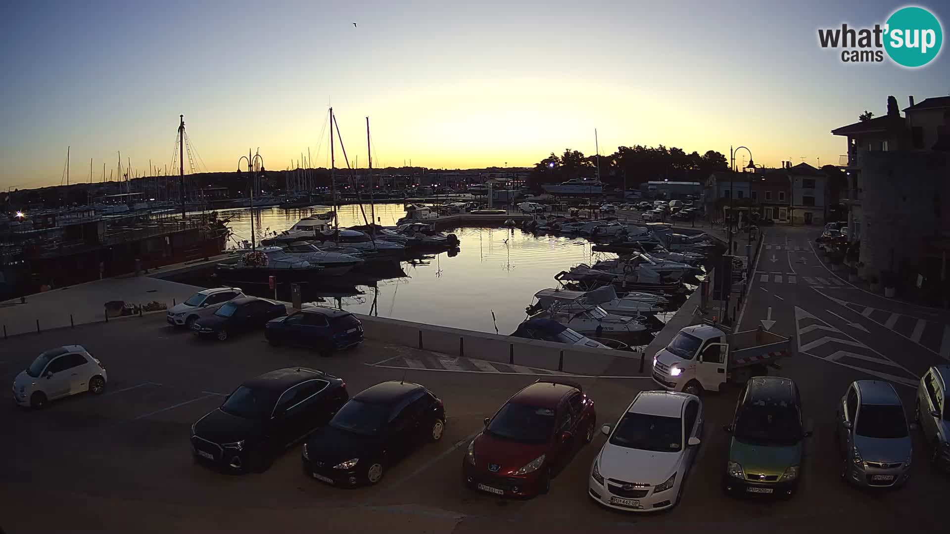 Novigrad | Porporela marina