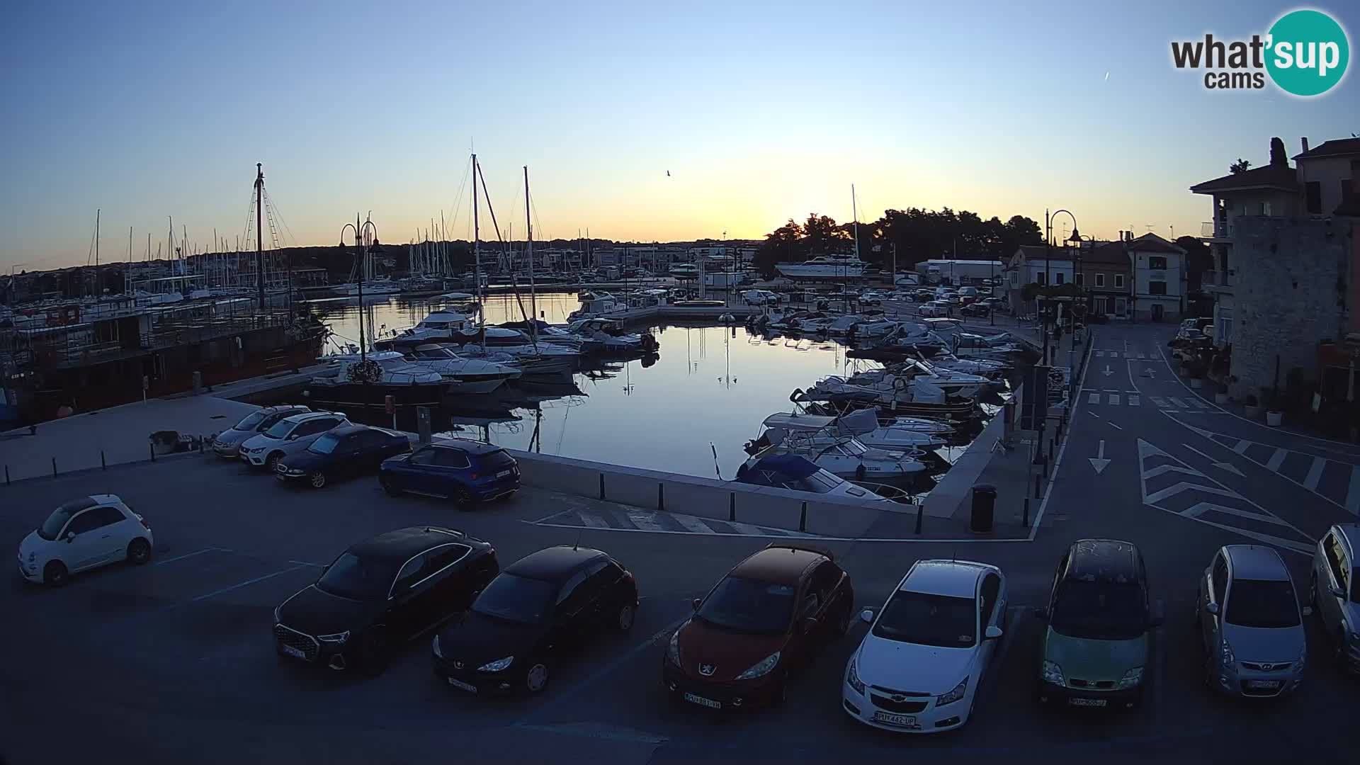 Novigrad | Porporela marina
