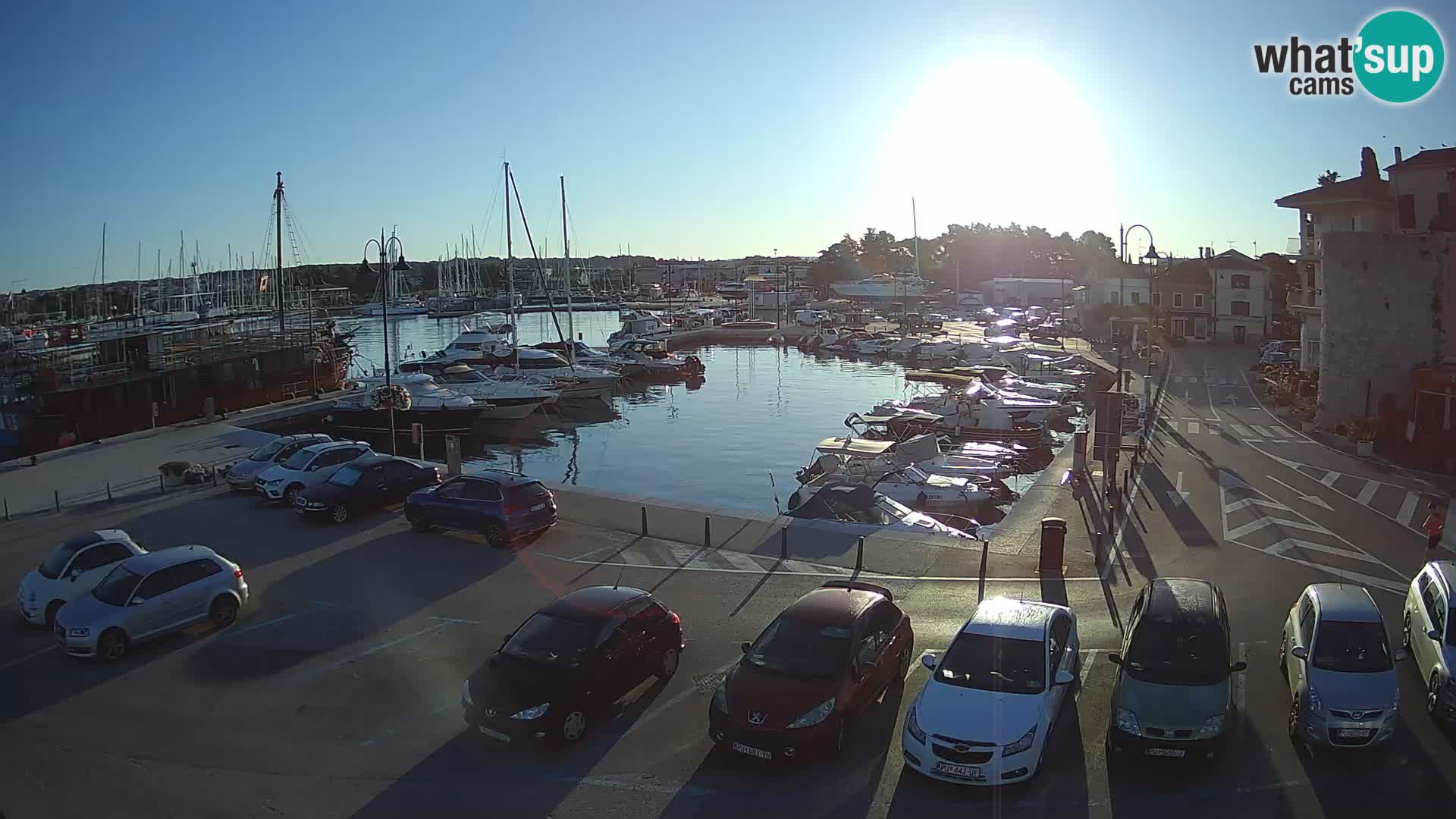 Novigrad | Porporela marina