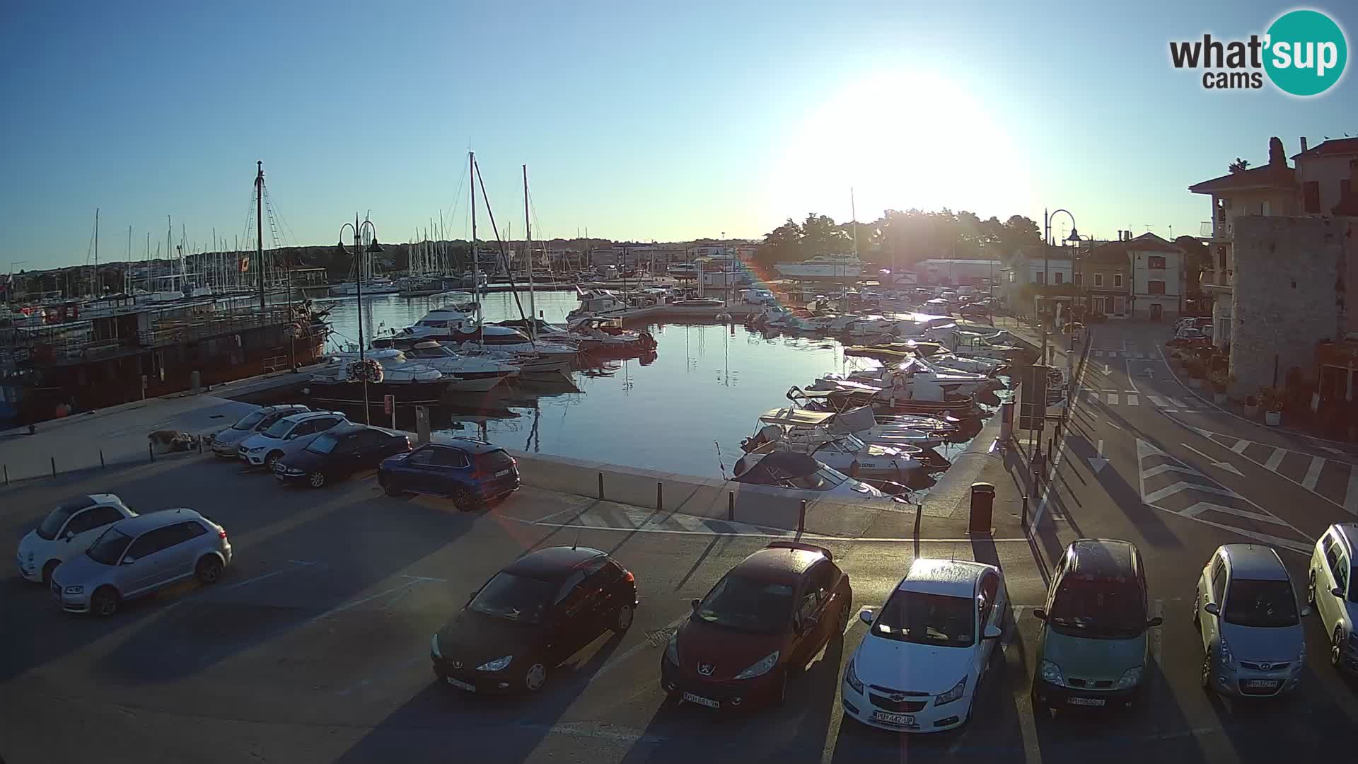 Novigrad | Porporela marina