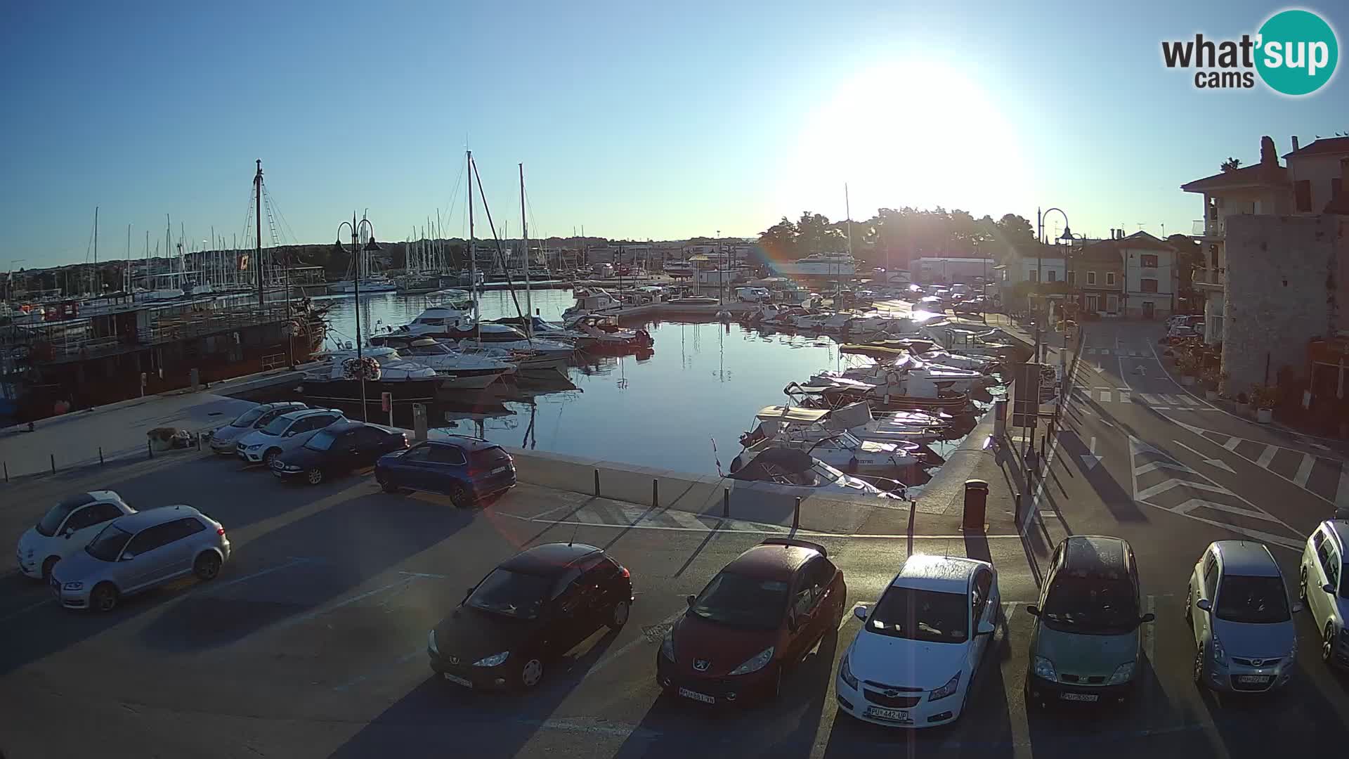 Novigrad | Porporela marina