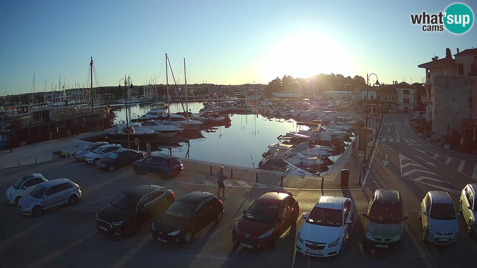 Novigrad | Porporela marina