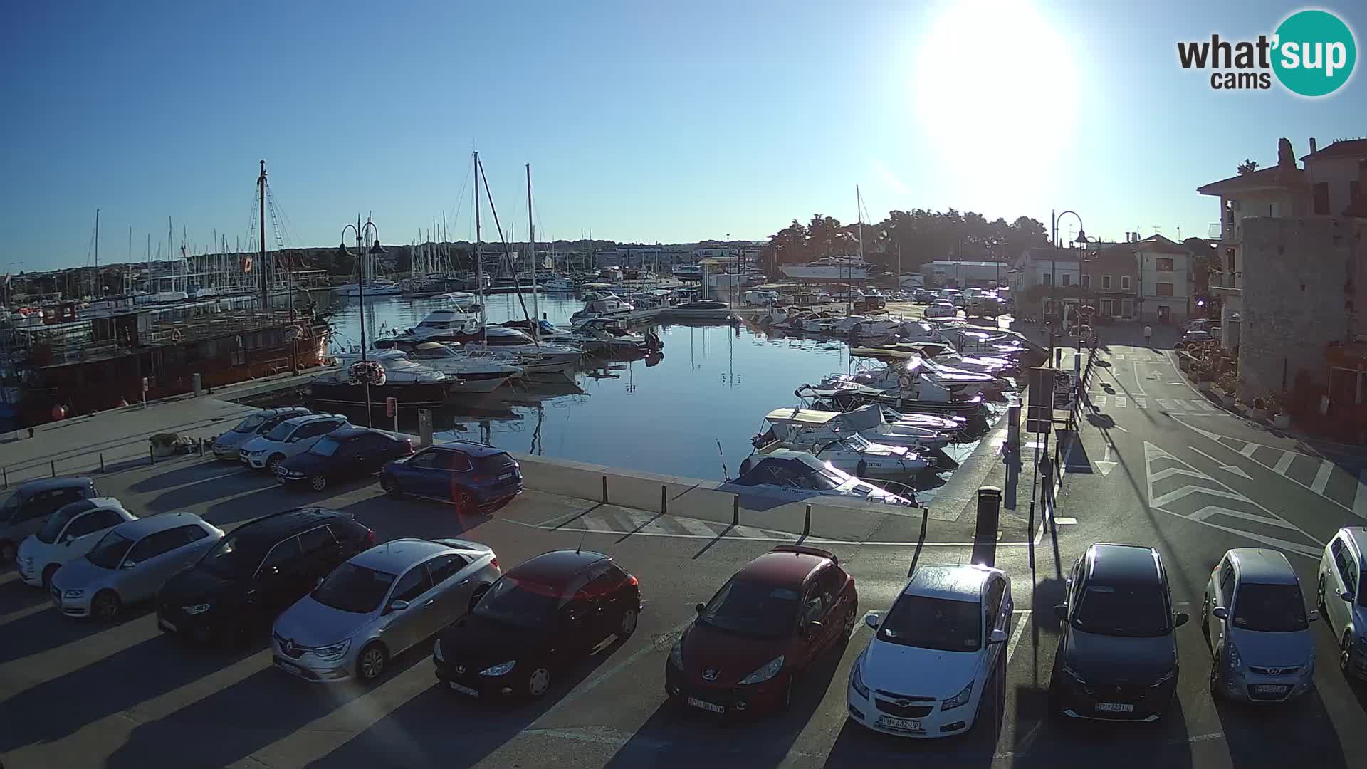 Novigrad | Porporela marina