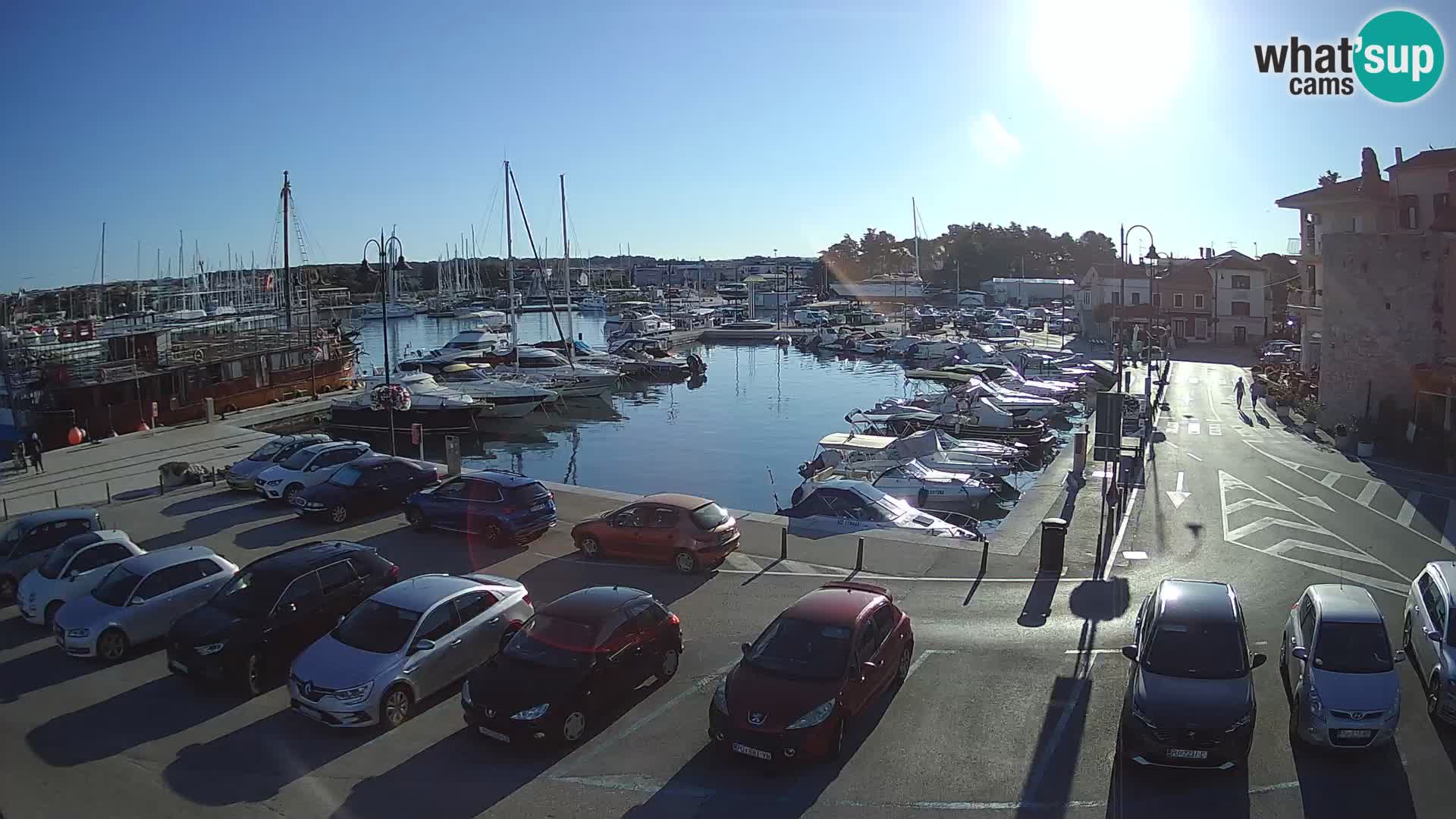 Novigrad | Porporela marina