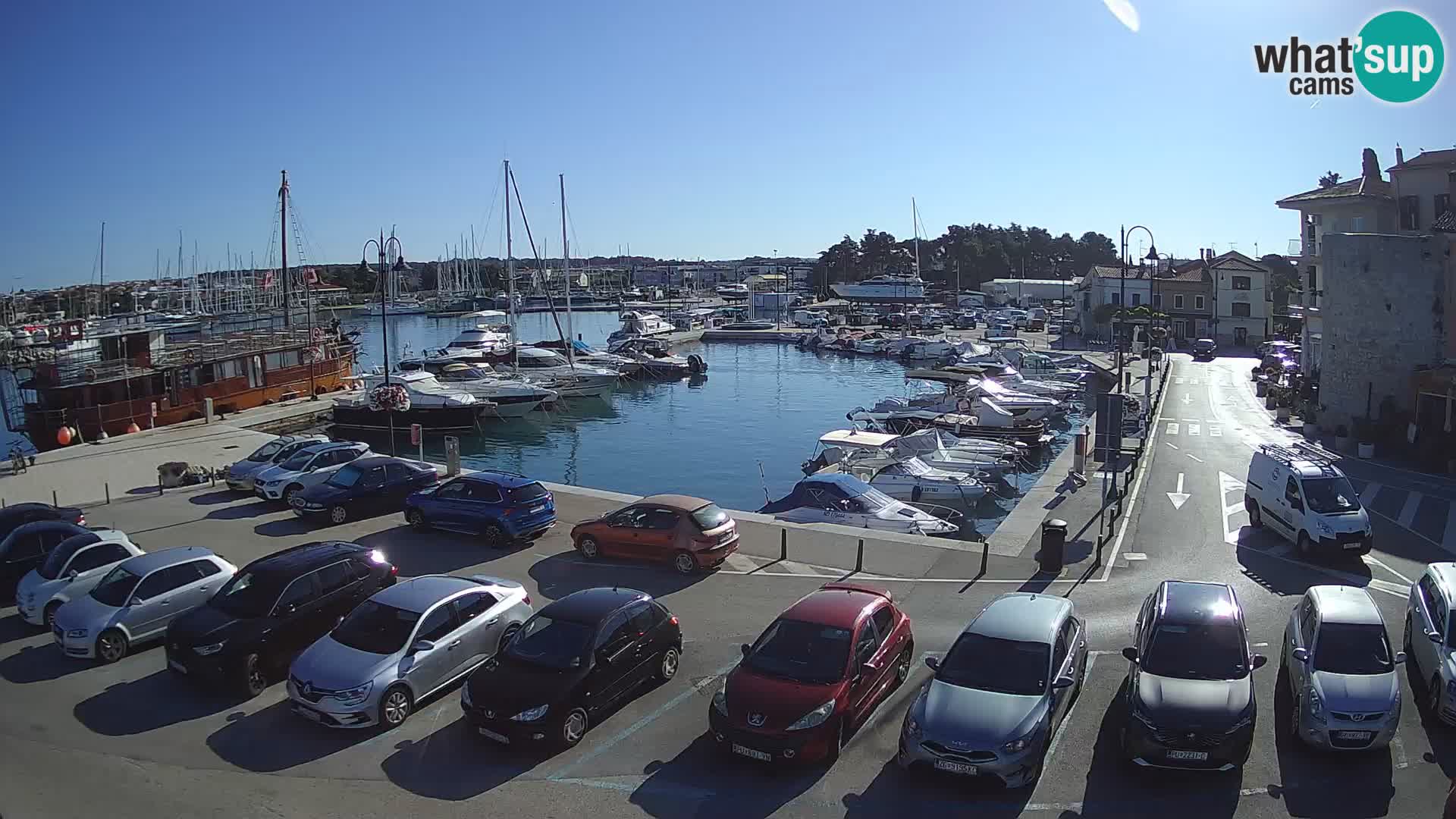 Novigrad | Porporela marina