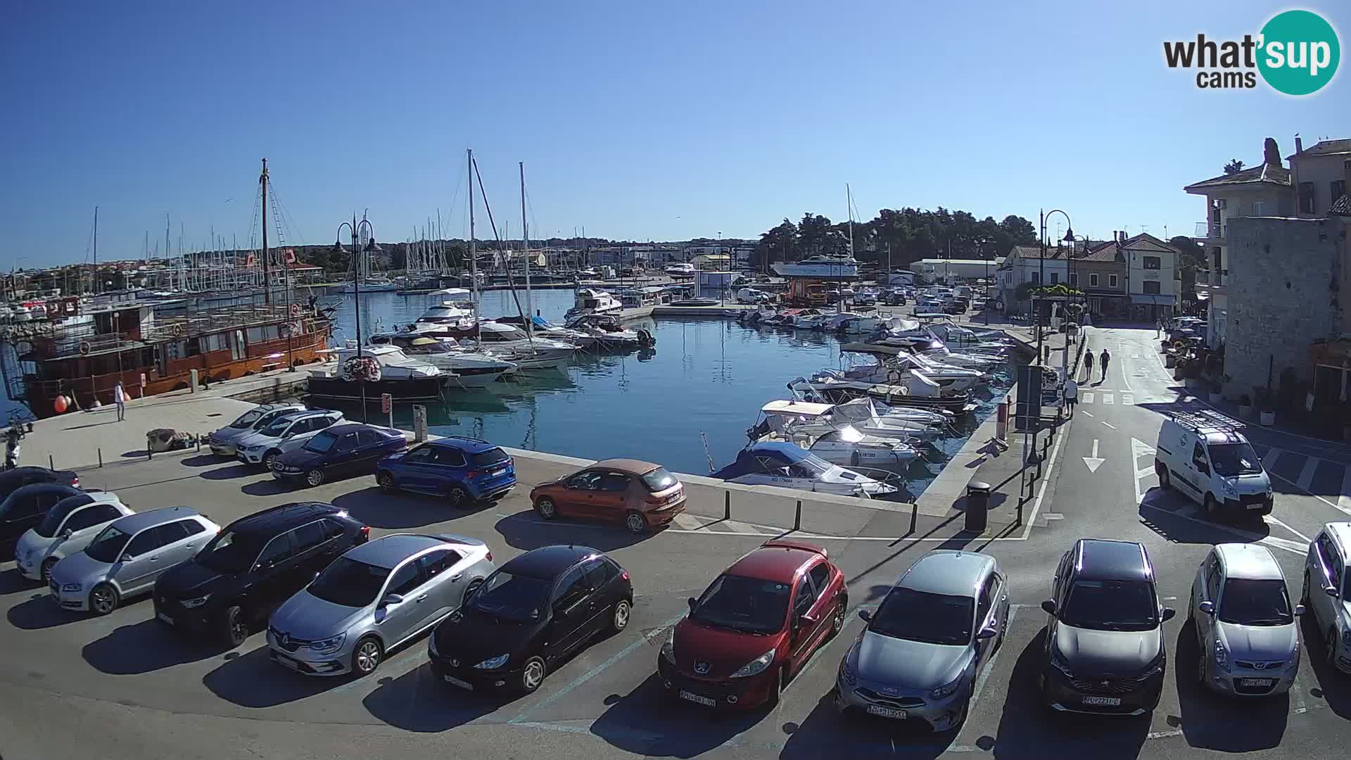 Novigrad | Porporela marina