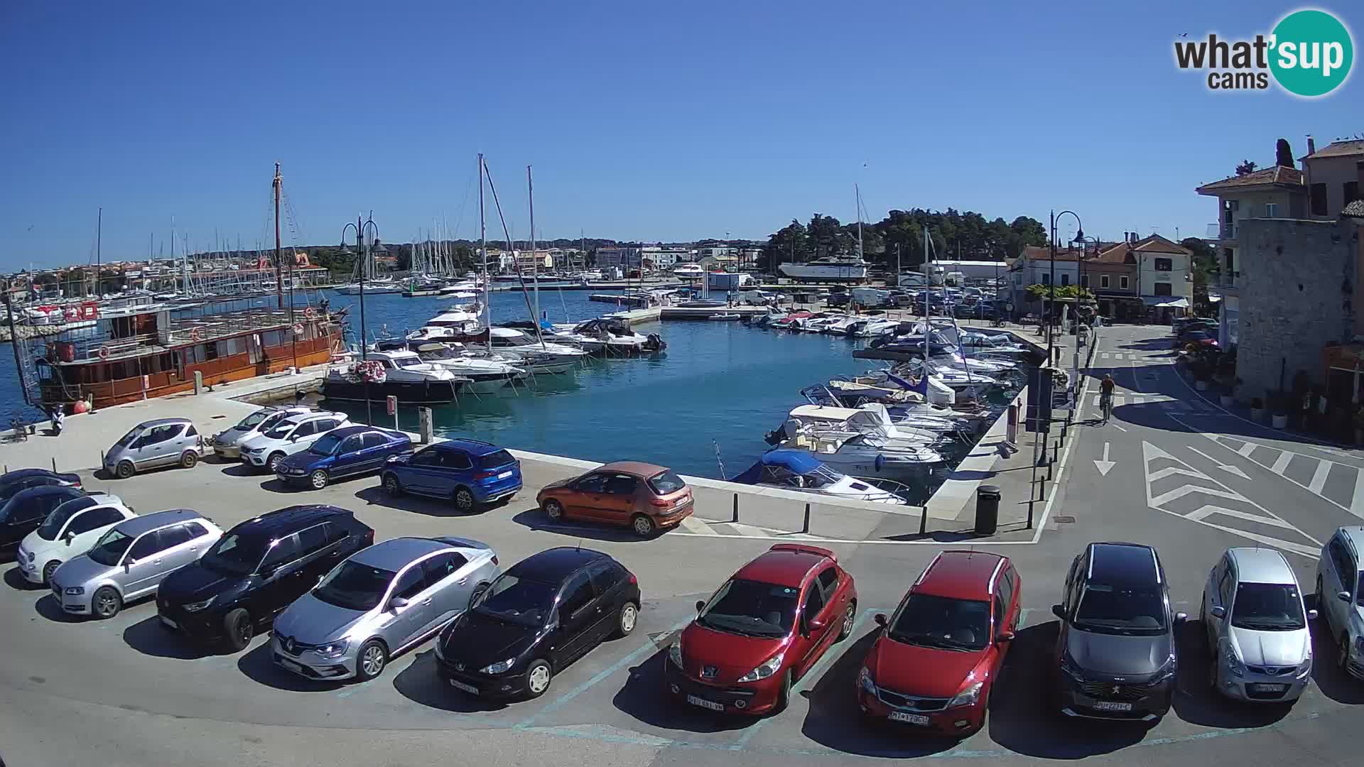 Novigrad | Porporela marina