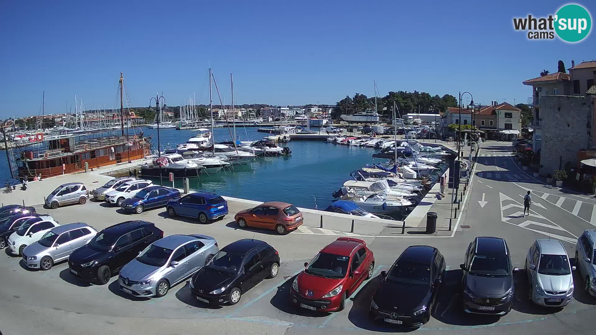Novigrad | Porporela marina