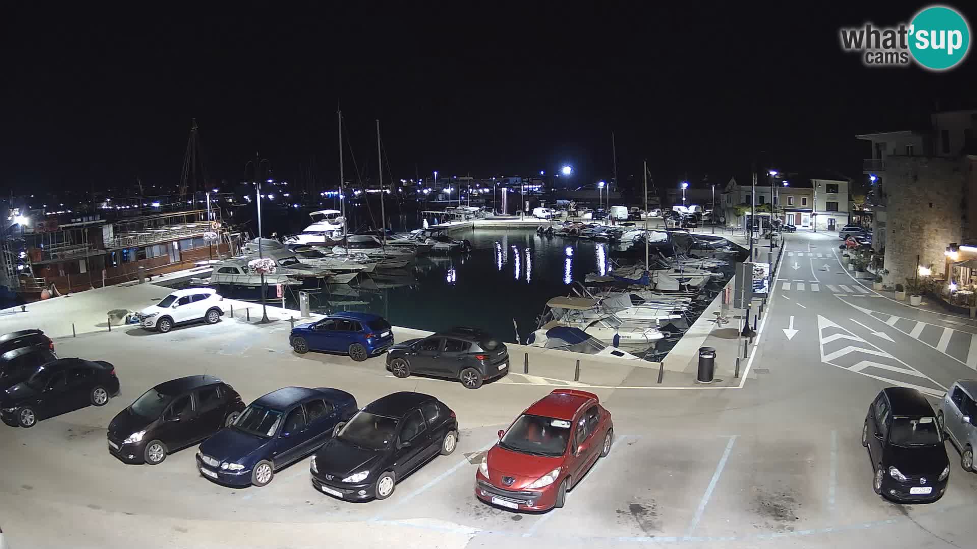 Novigrad | Porporela marina