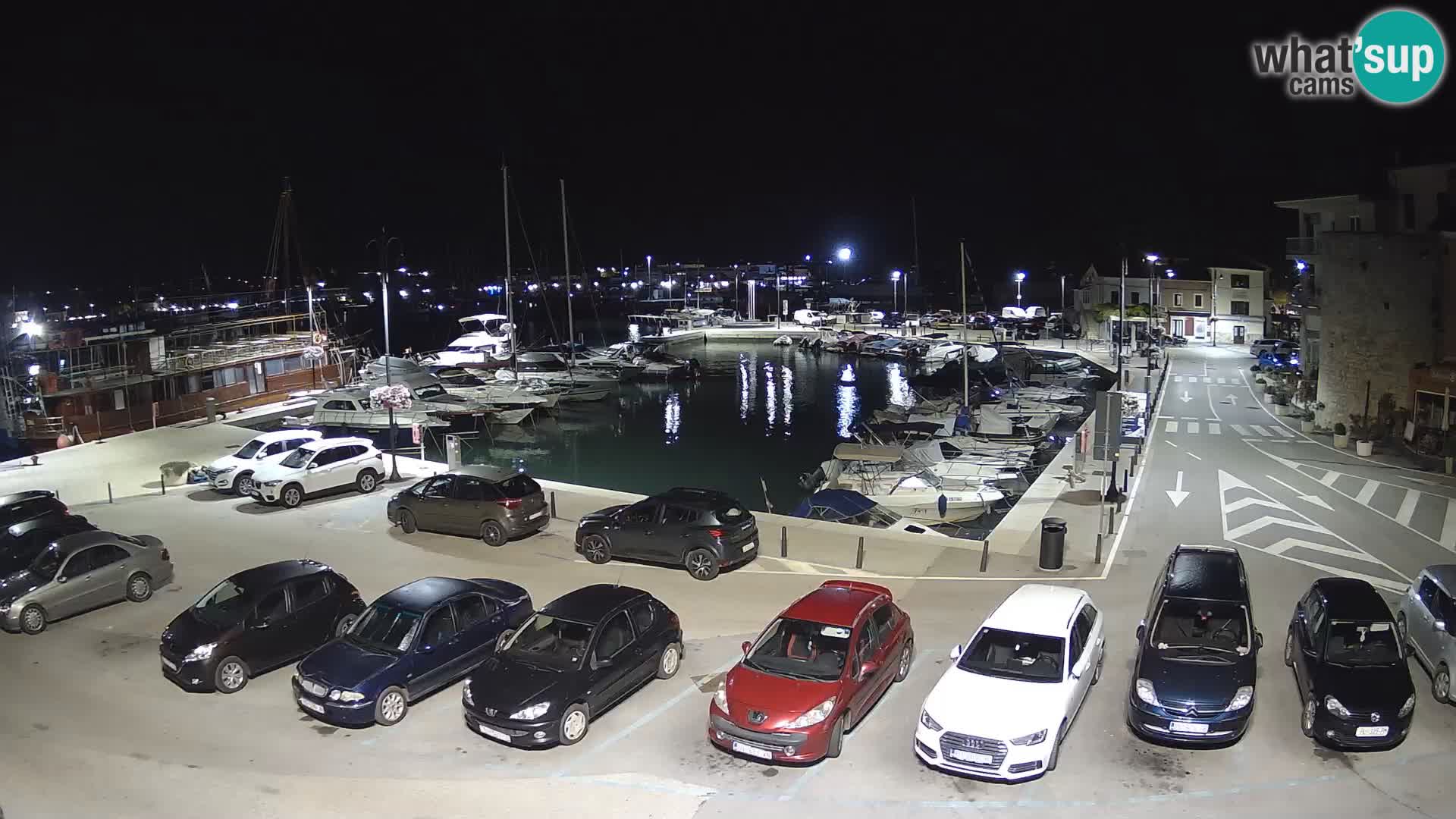 Novigrad | Porporela marina