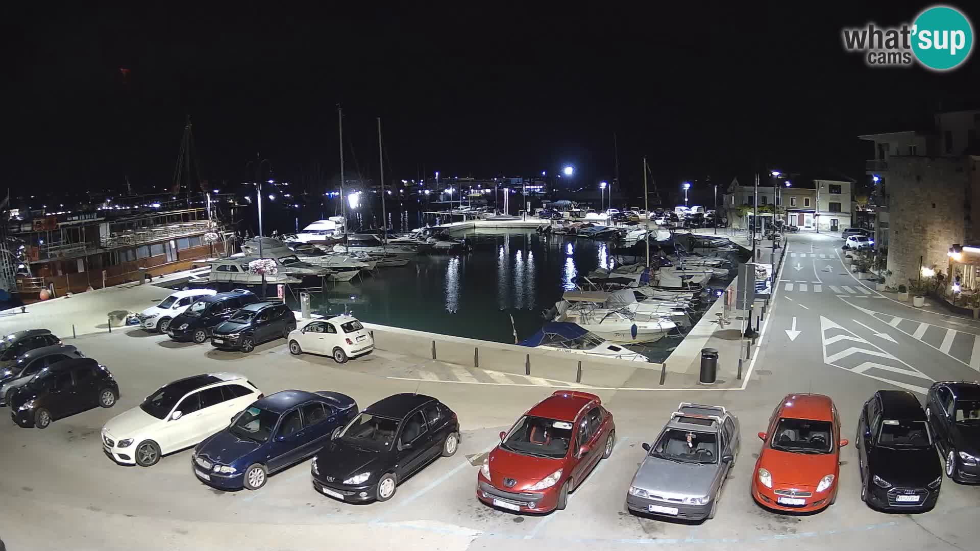 Novigrad | Porporela marina