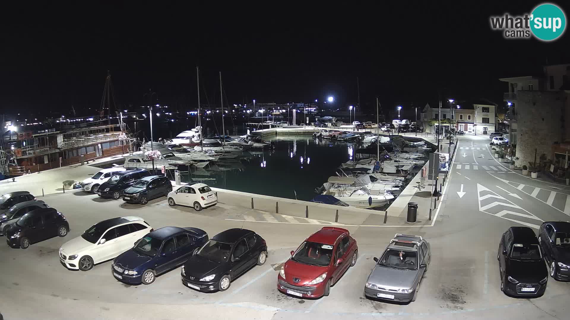 Novigrad | Porporela marina