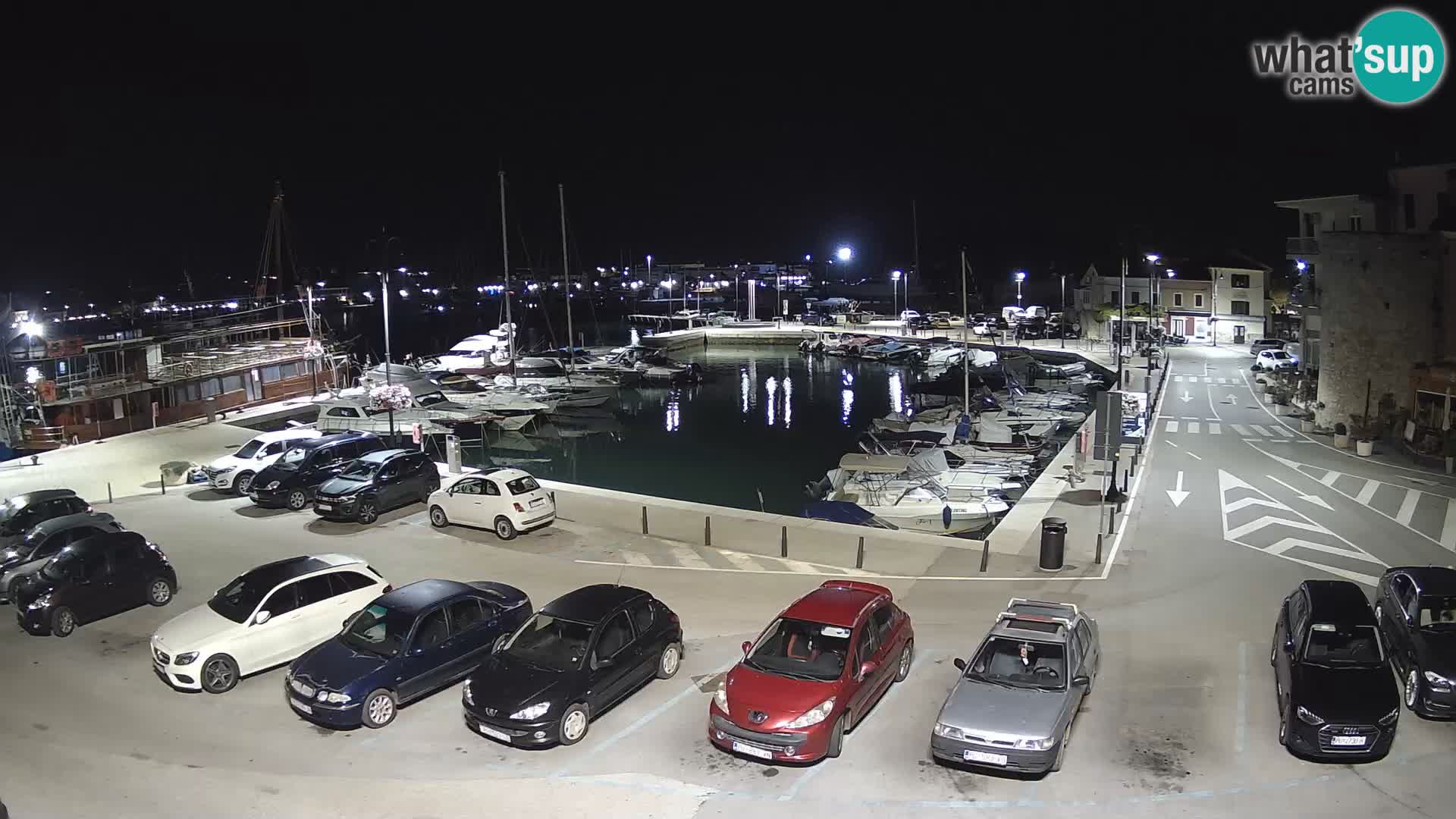 Novigrad | Porporela marina