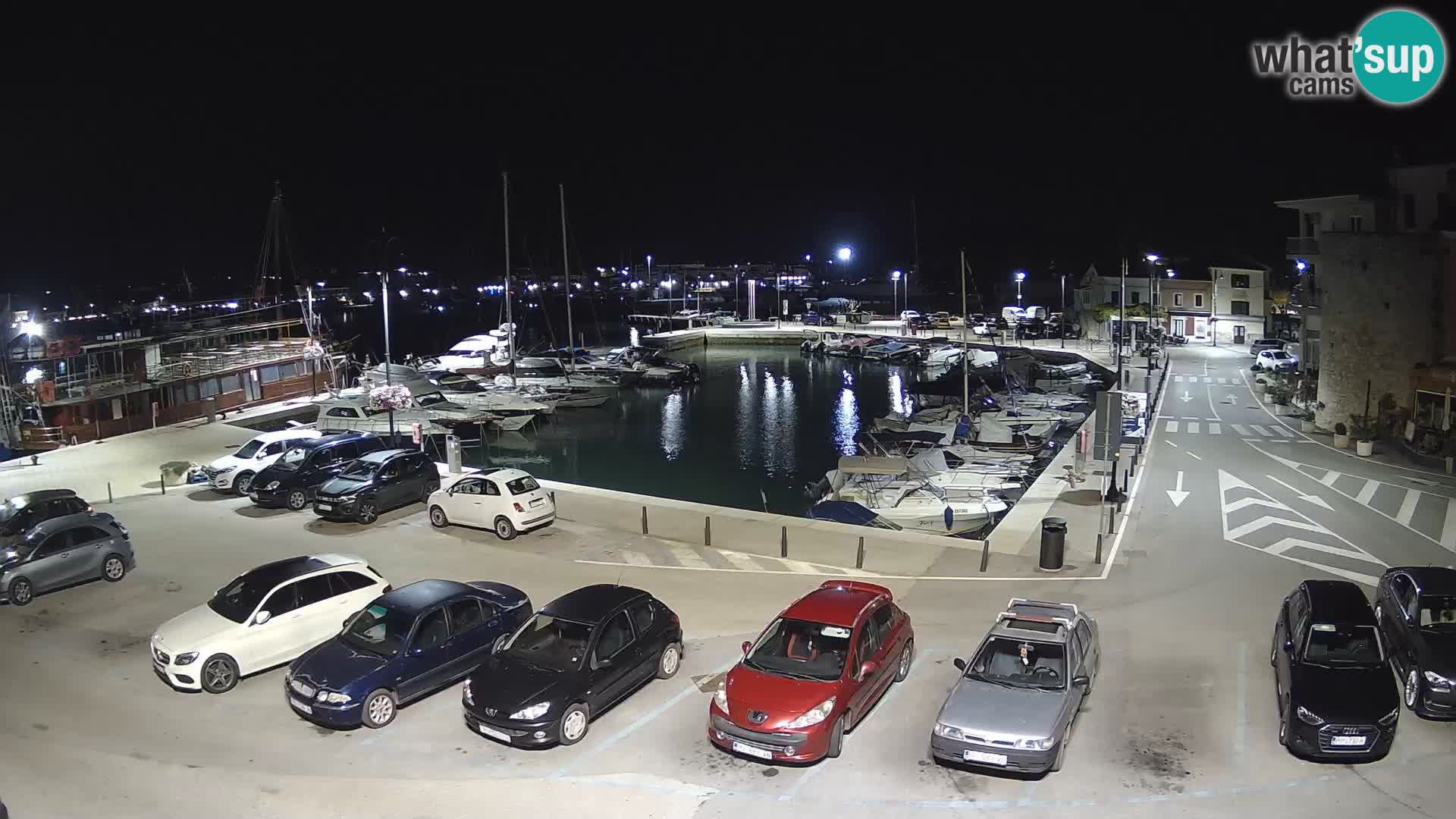 Novigrad | Porporela marina