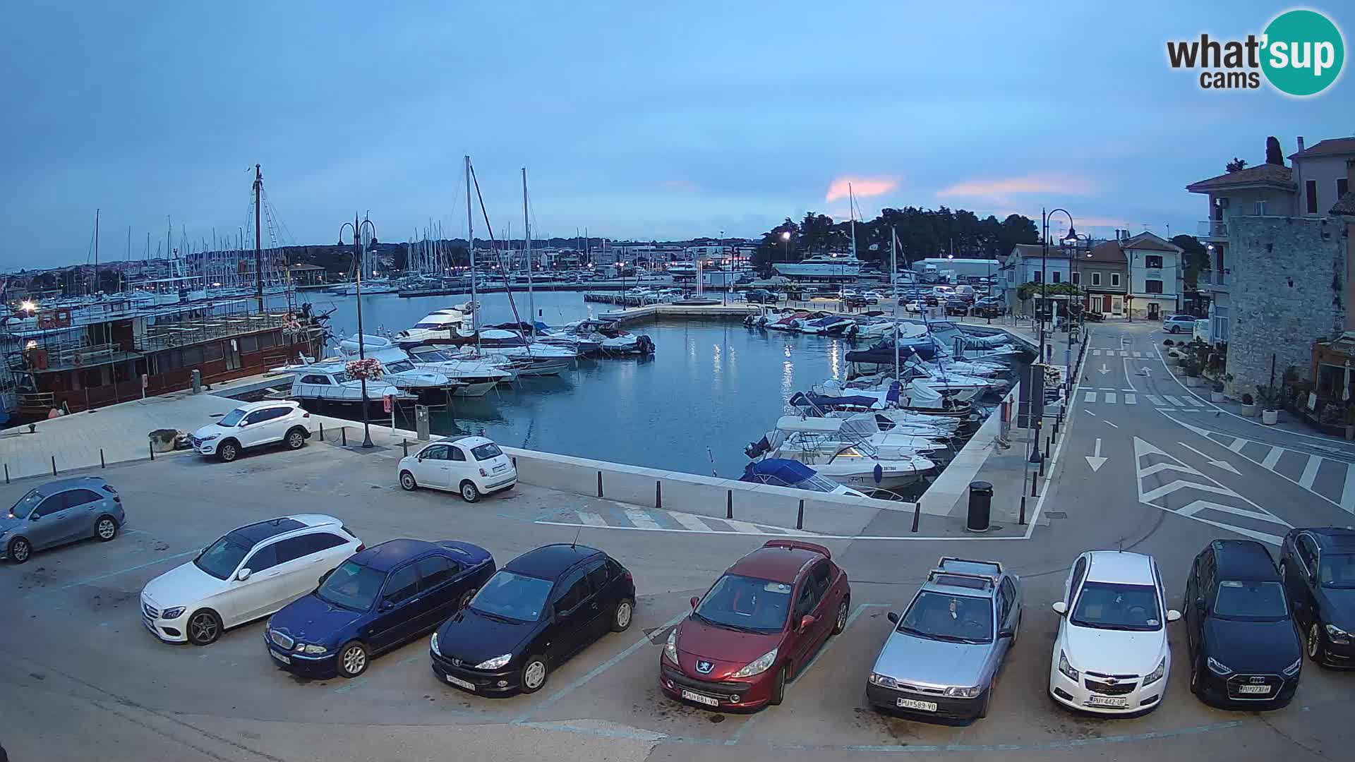 Novigrad | Porporela marina
