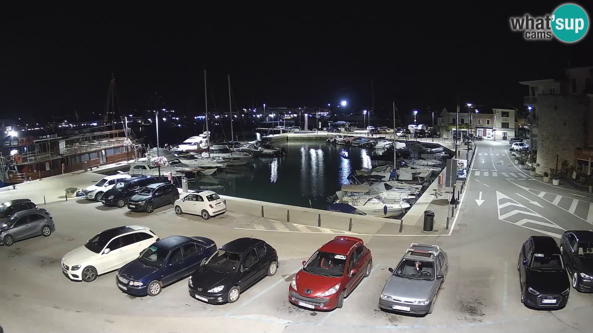 Novigrad | Porporela marina