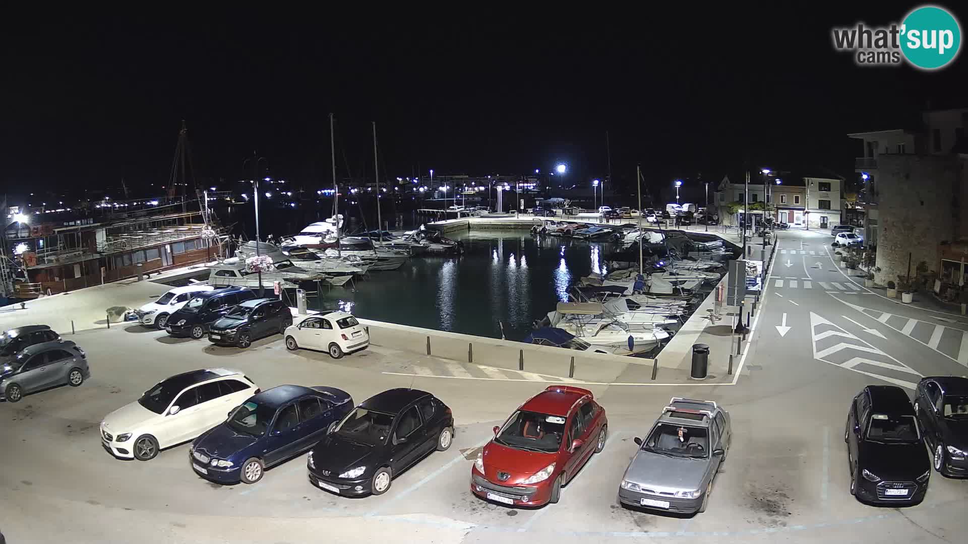 Novigrad | Porporela marina