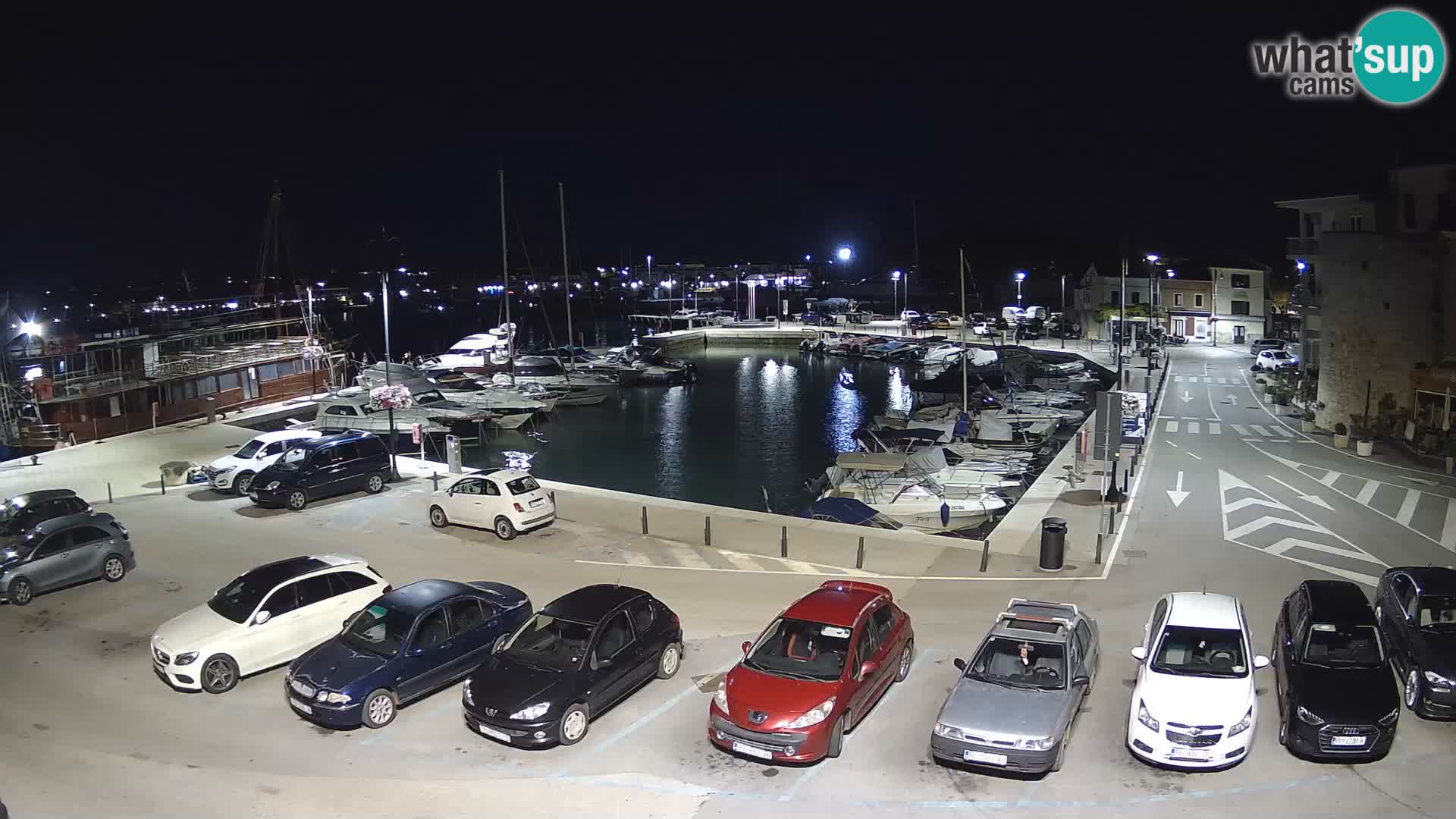 Novigrad | Porporela marina