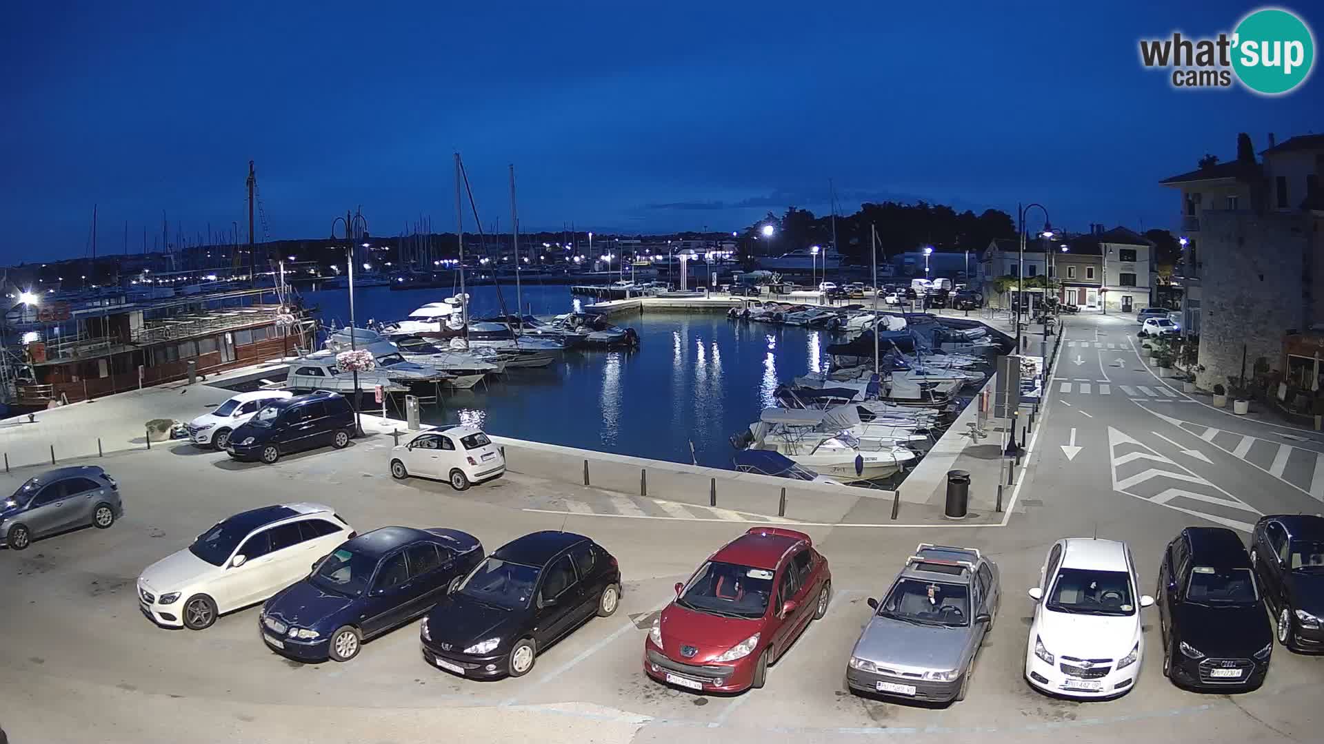 Novigrad | Porporela marina