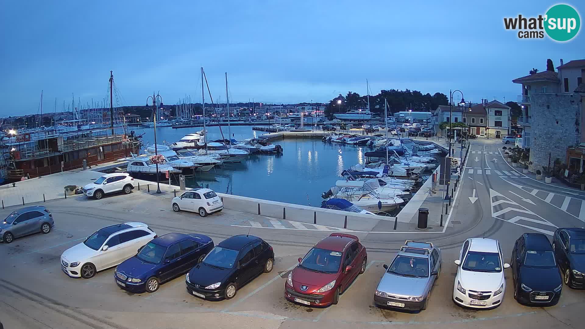 Novigrad | Porporela marina