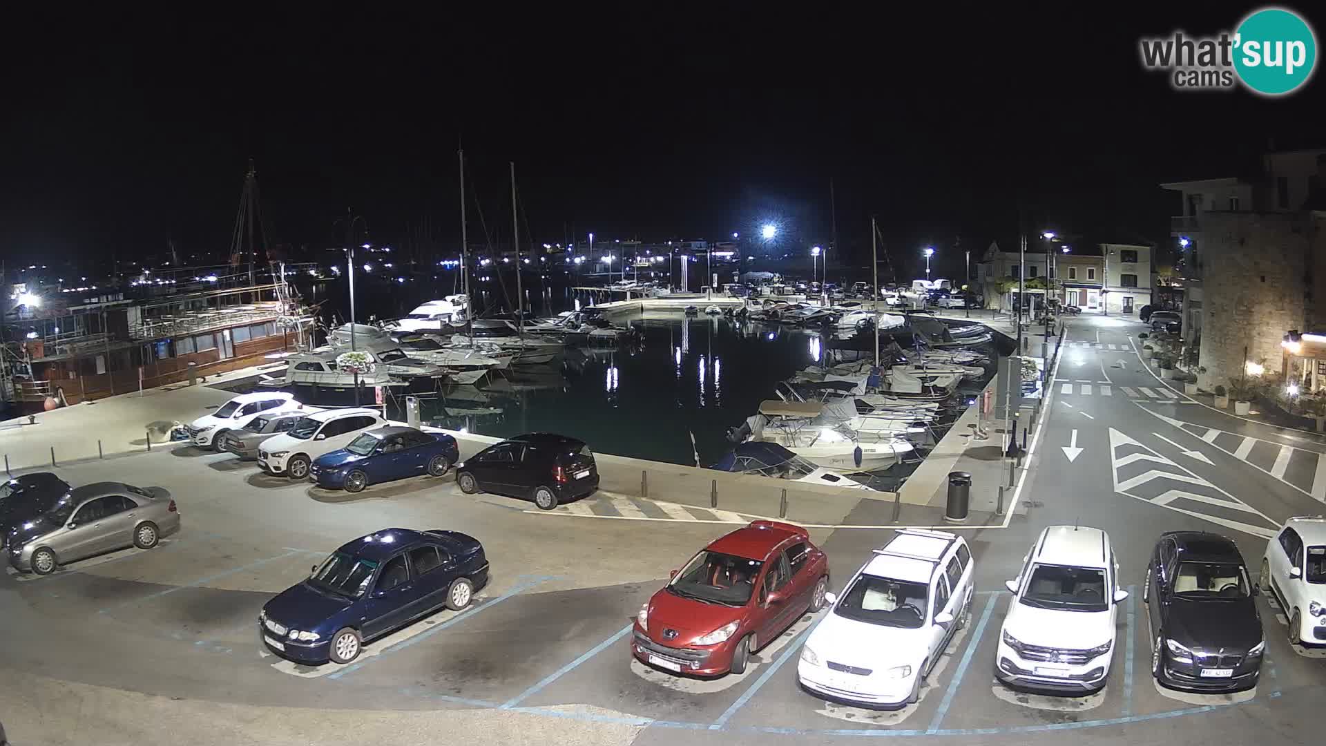 Novigrad | Porporela marina