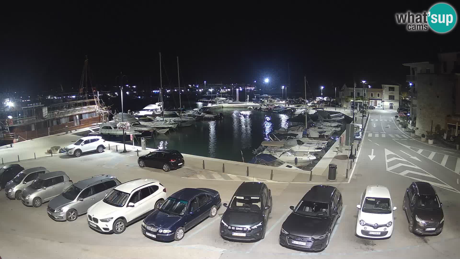 Novigrad | Porporela marina
