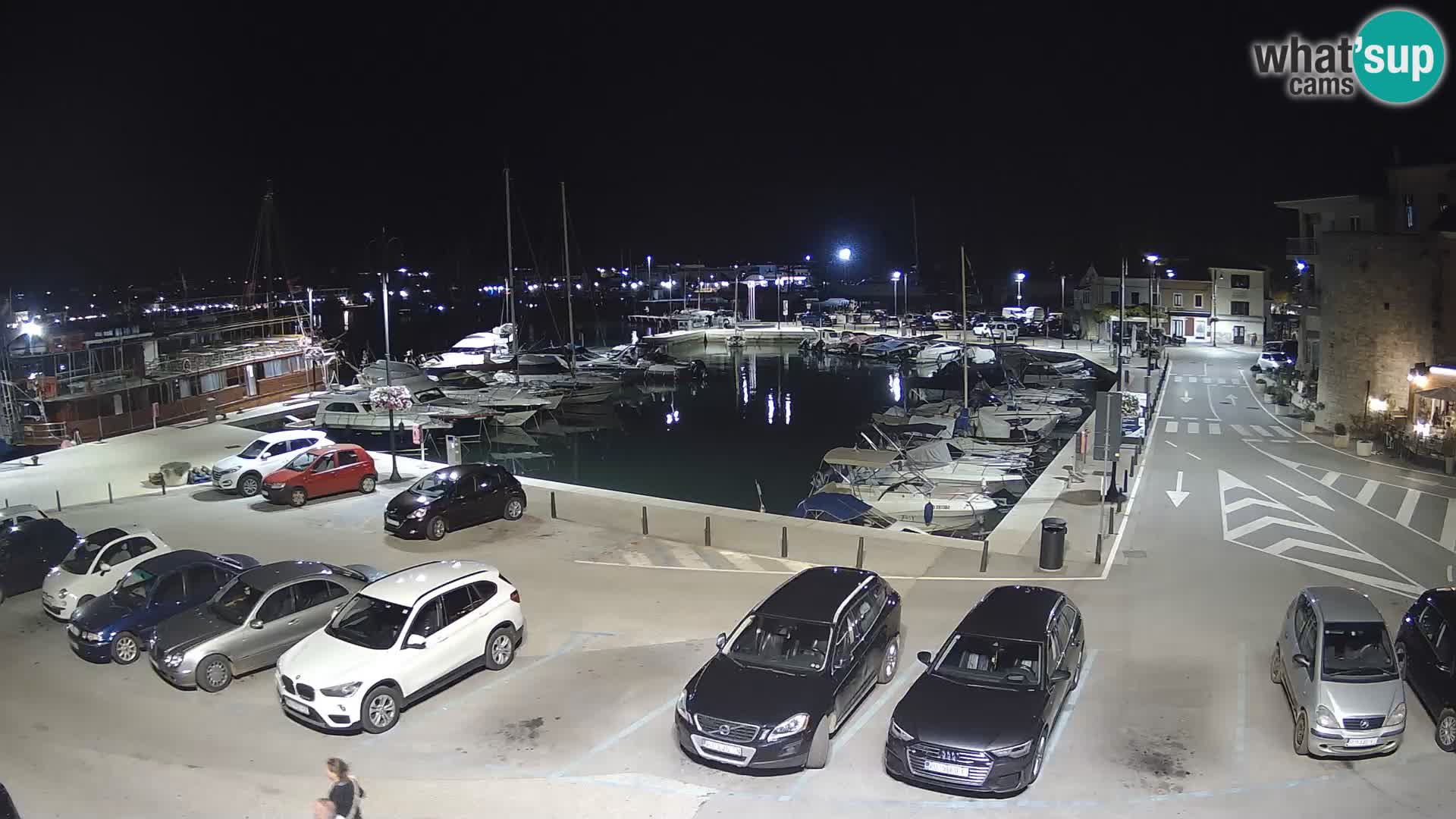 Novigrad | Porporela marina
