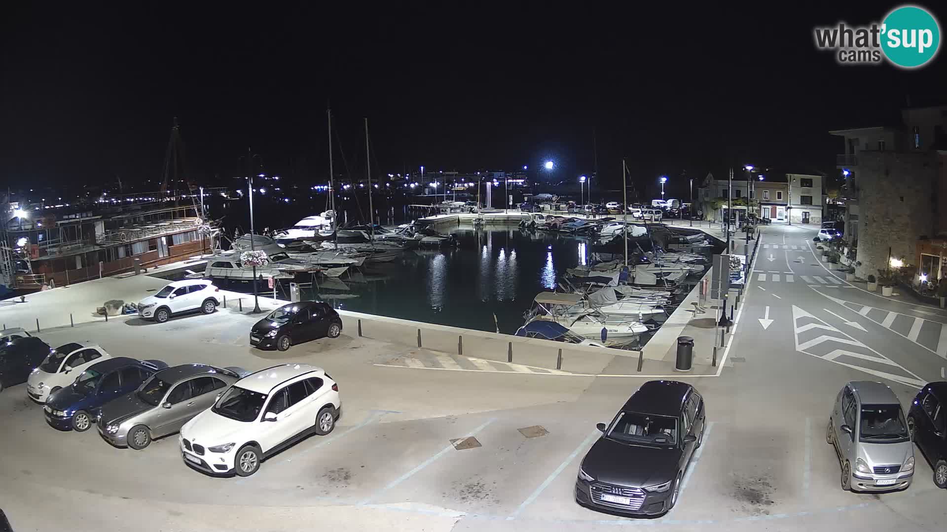 Novigrad | Porporela marina