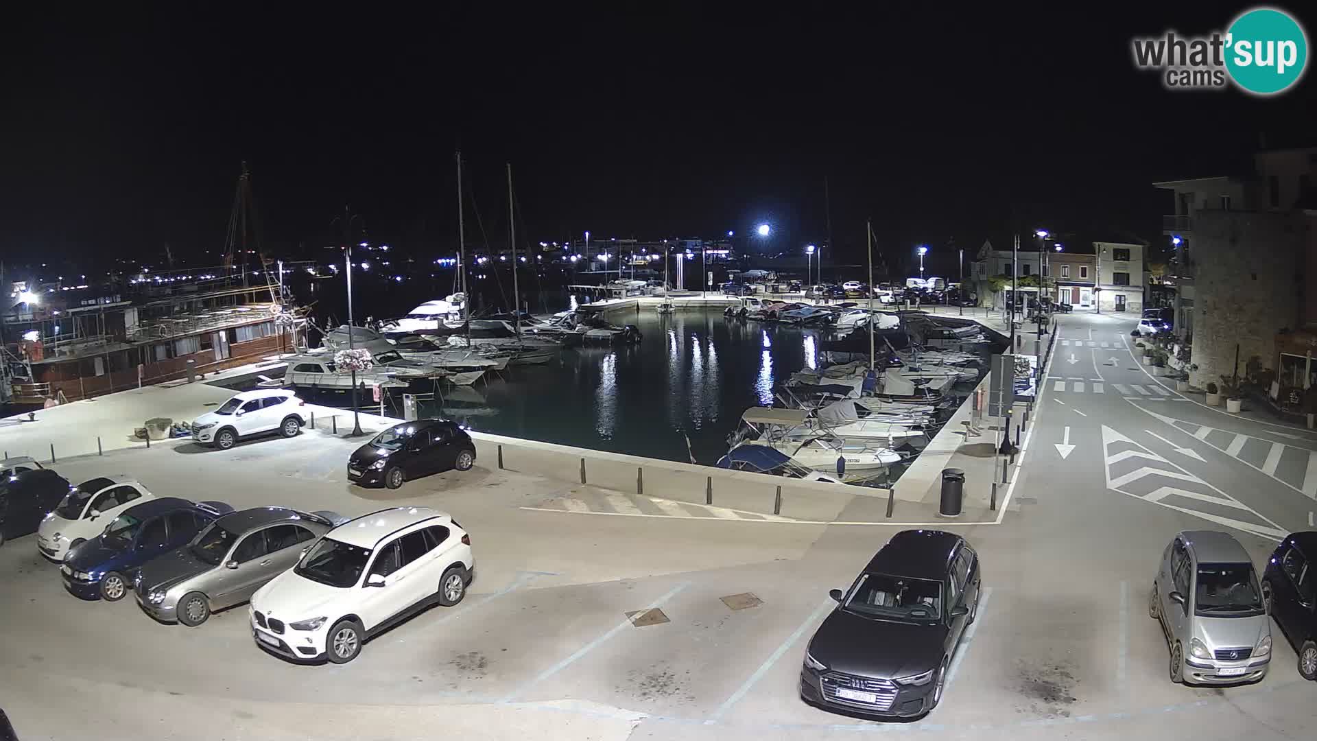 Novigrad | Porporela marina