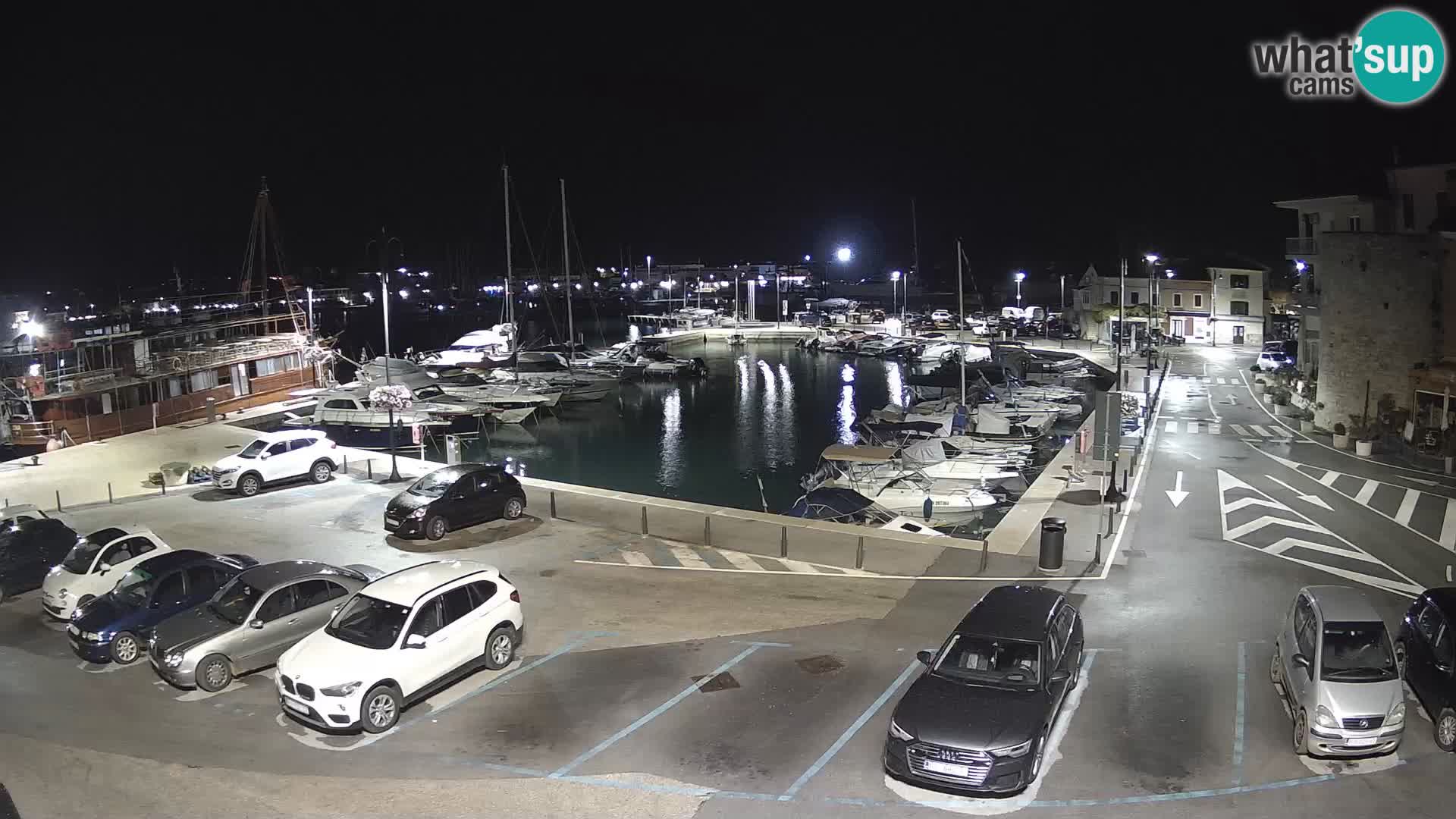 Novigrad | Porporela marina